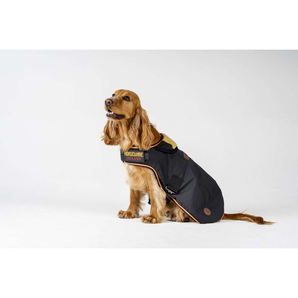 Horseware Manta para Perros Newmarket Witney Gold