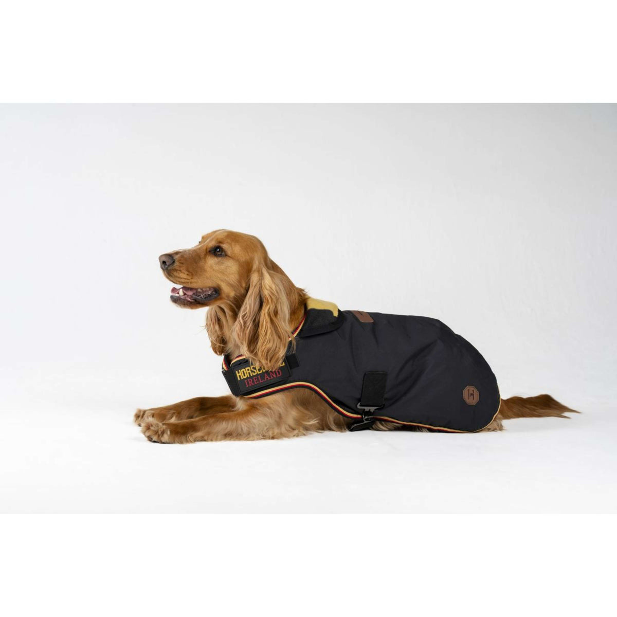 Horseware Manta para Perros Newmarket Witney Gold