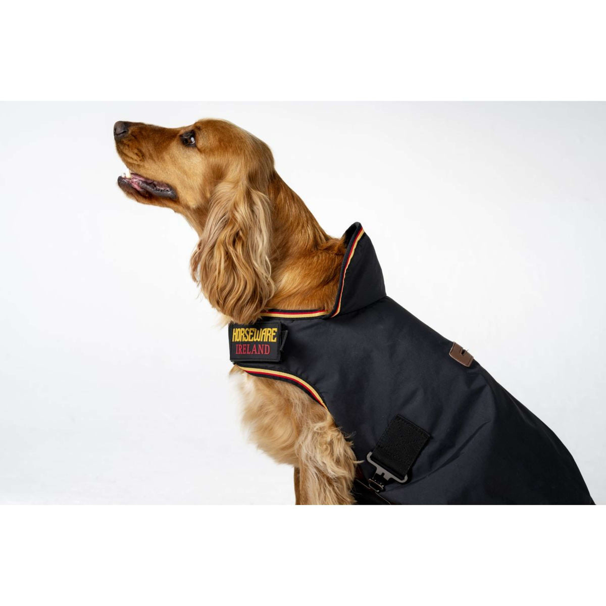 Horseware Manta para Perros Newmarket Witney Gold