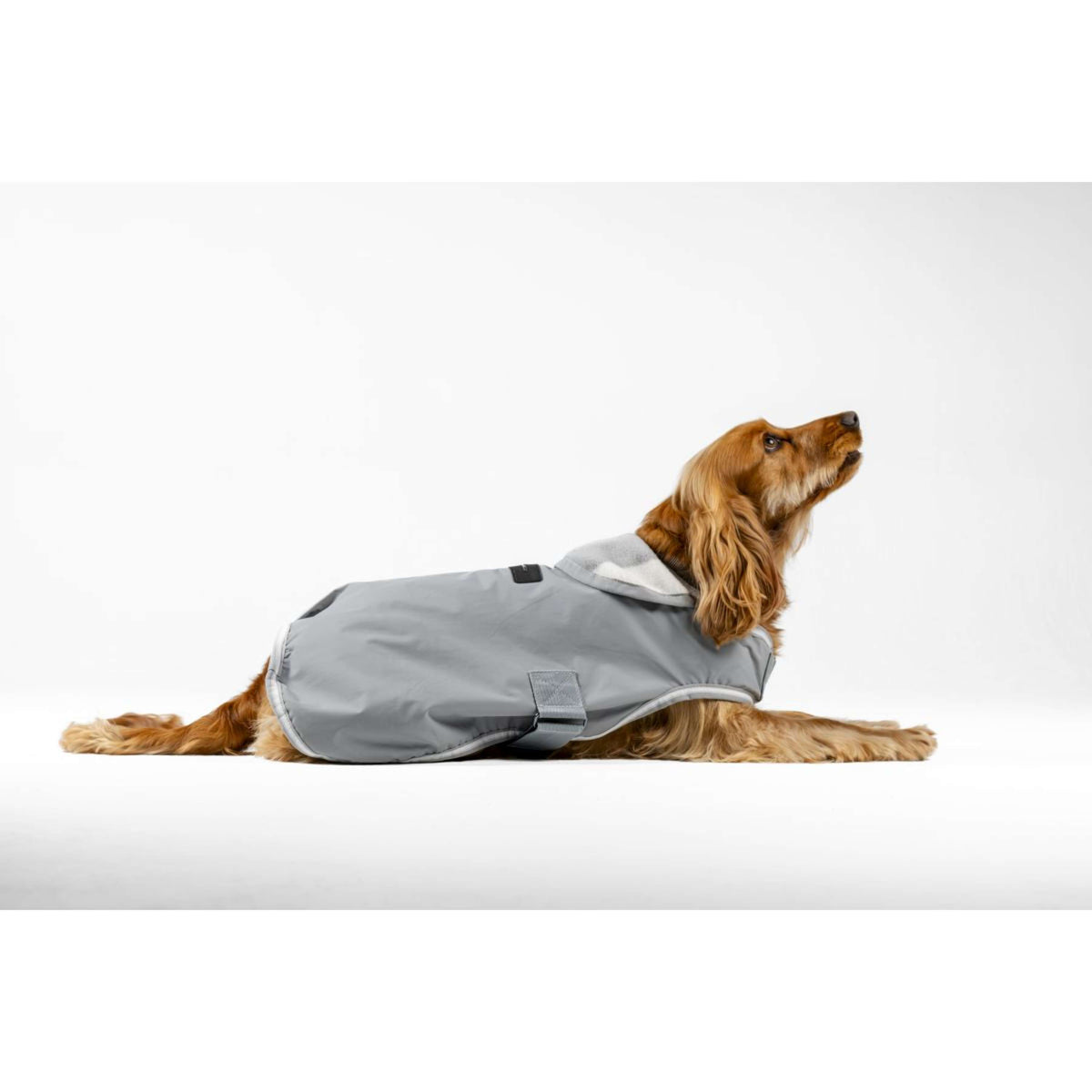 Horseware Manta para Perros Newmarket Witney Charcoal