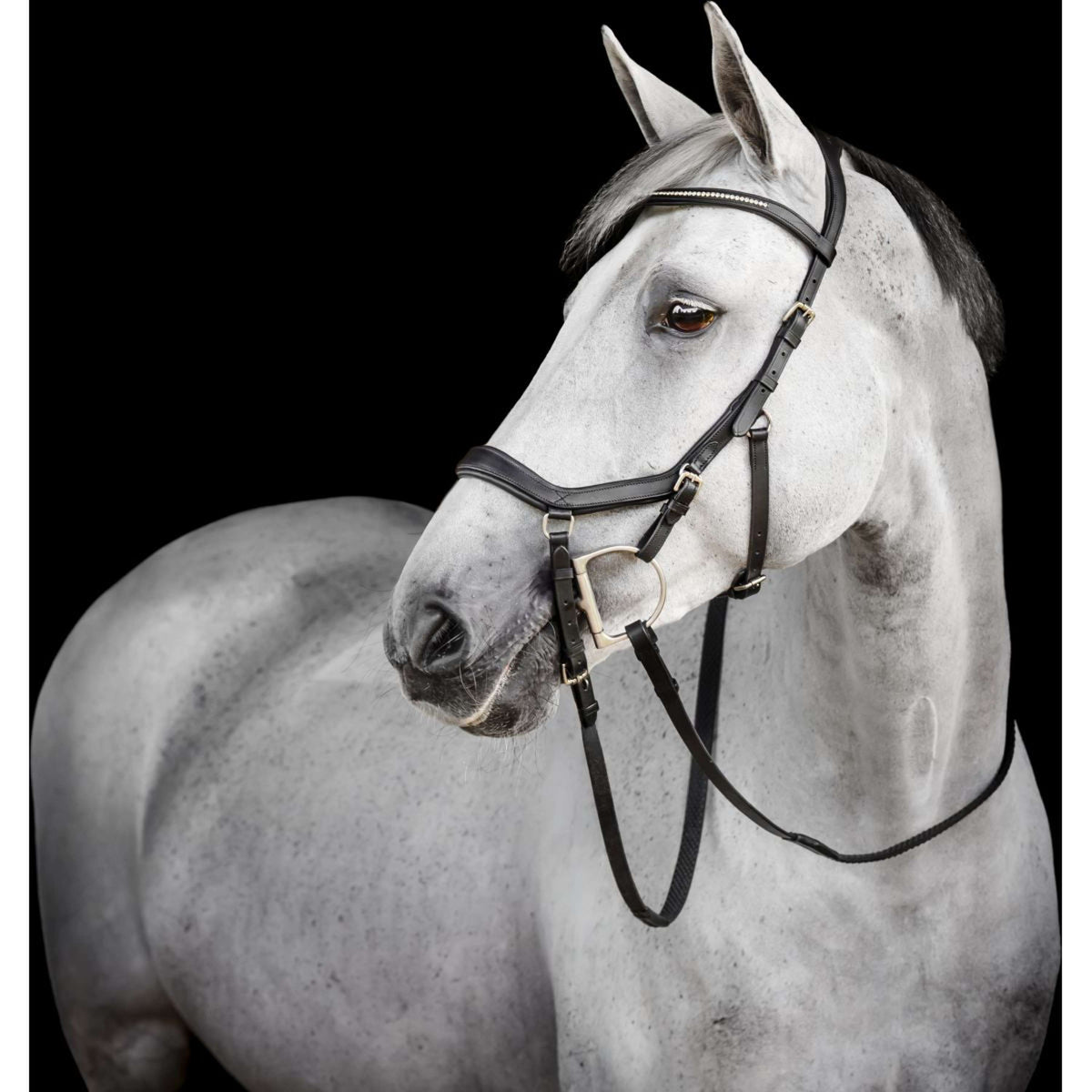 Horseware Micklem Diamante Competition Bridle Negro