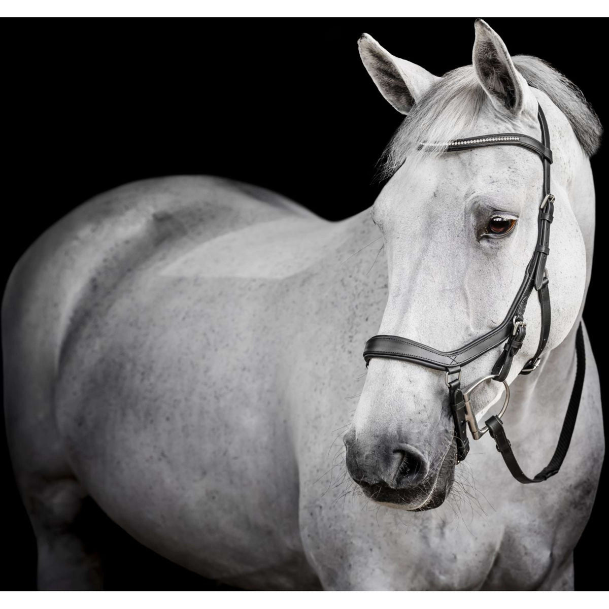 Horseware Micklem Diamante Competition Bridle Negro