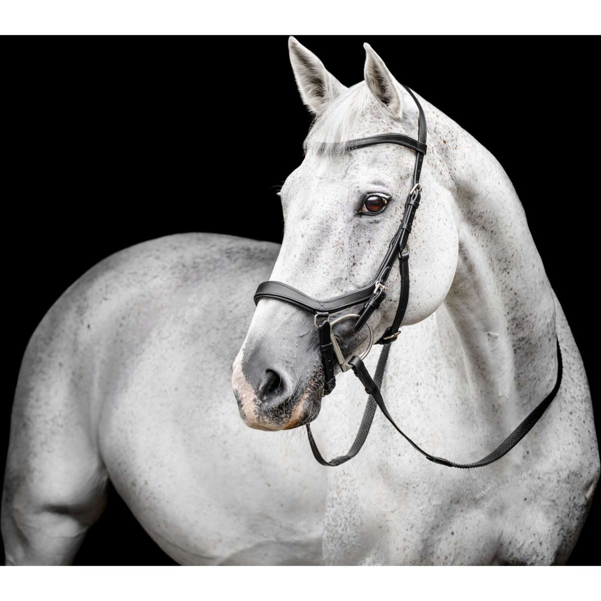 Horseware Micklem Competition Bridle Negro