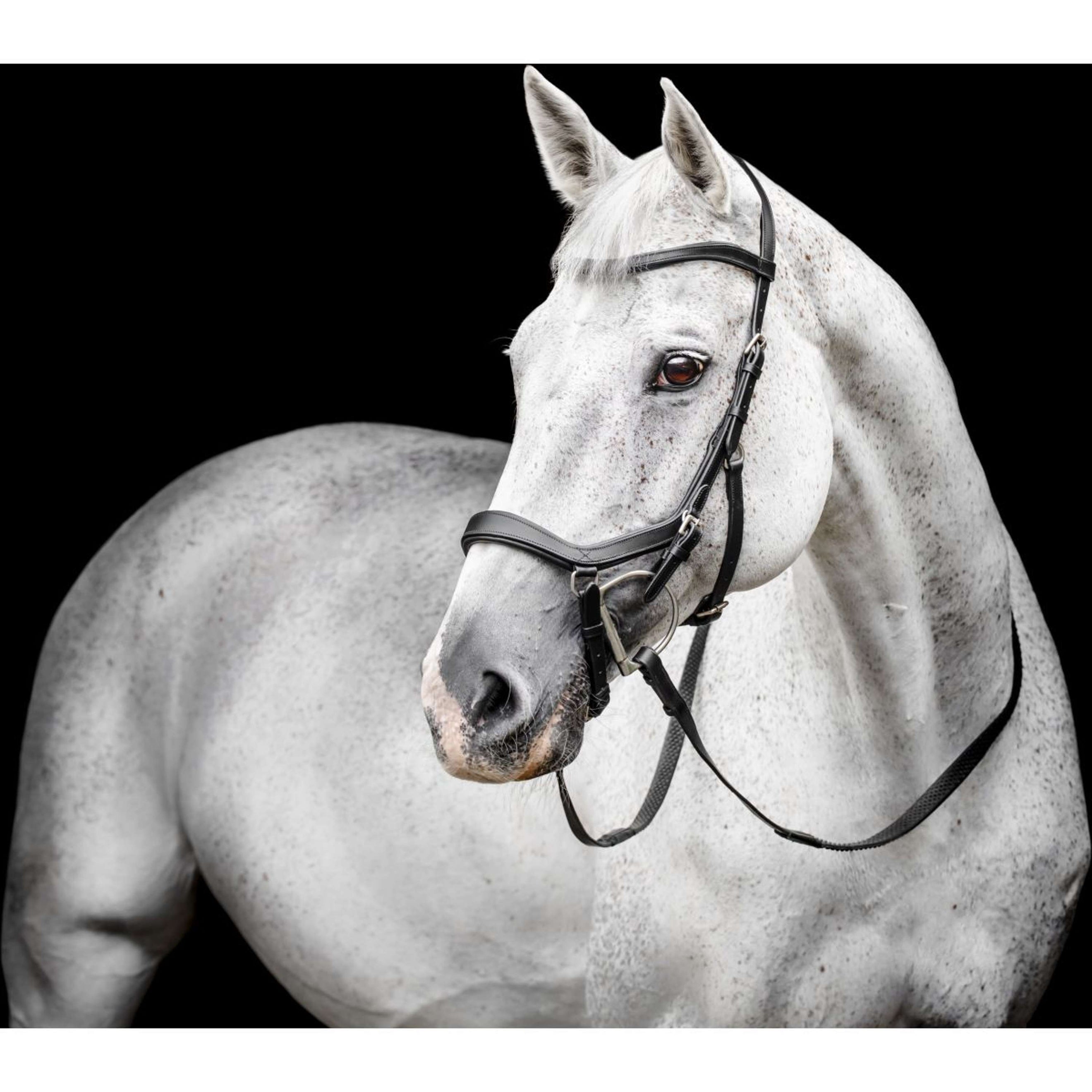 Horseware Micklem Competition Bridle Negro