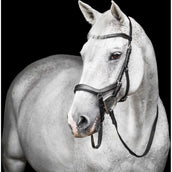Horseware Micklem Competition Bridle Negro
