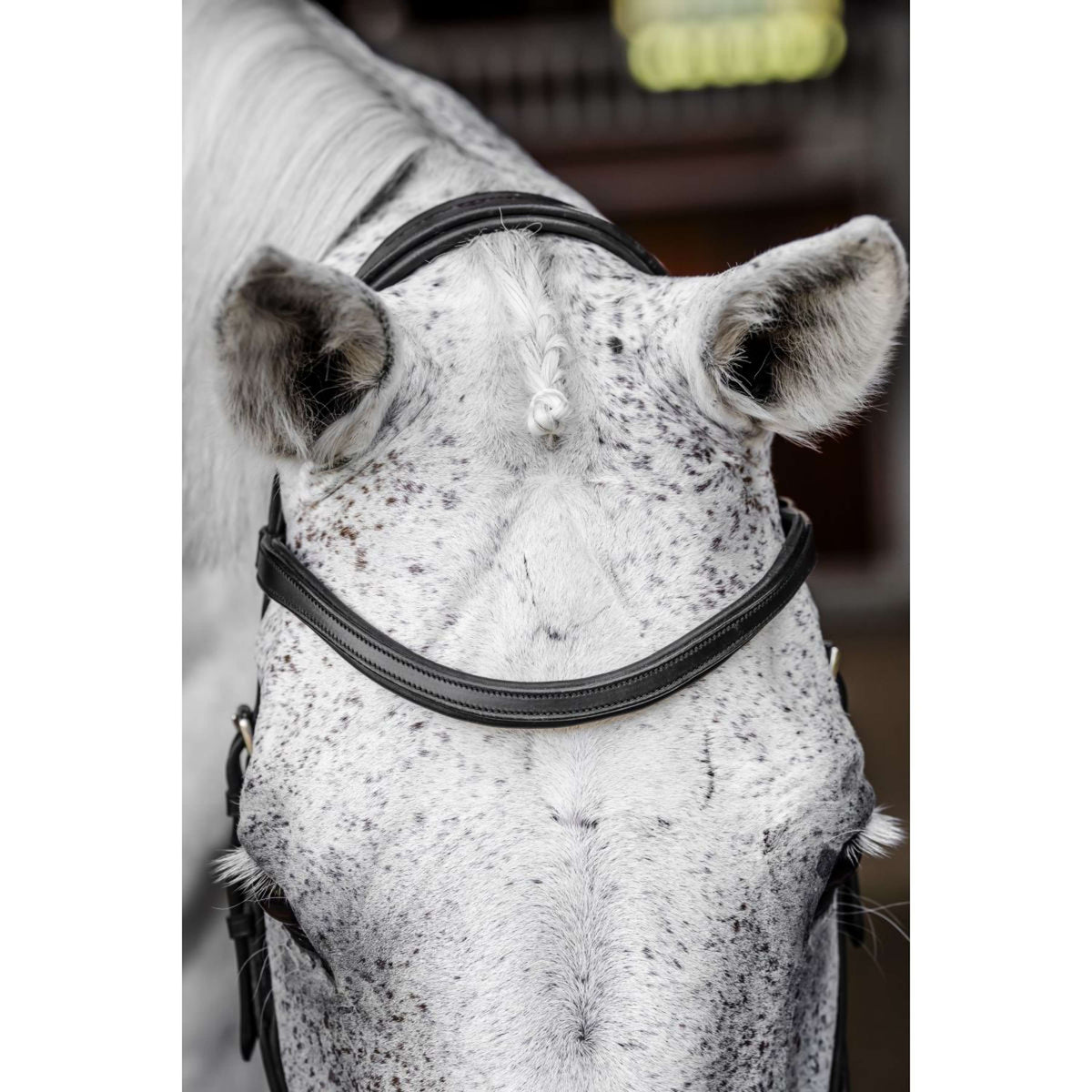Horseware Micklem Competition Bridle Negro