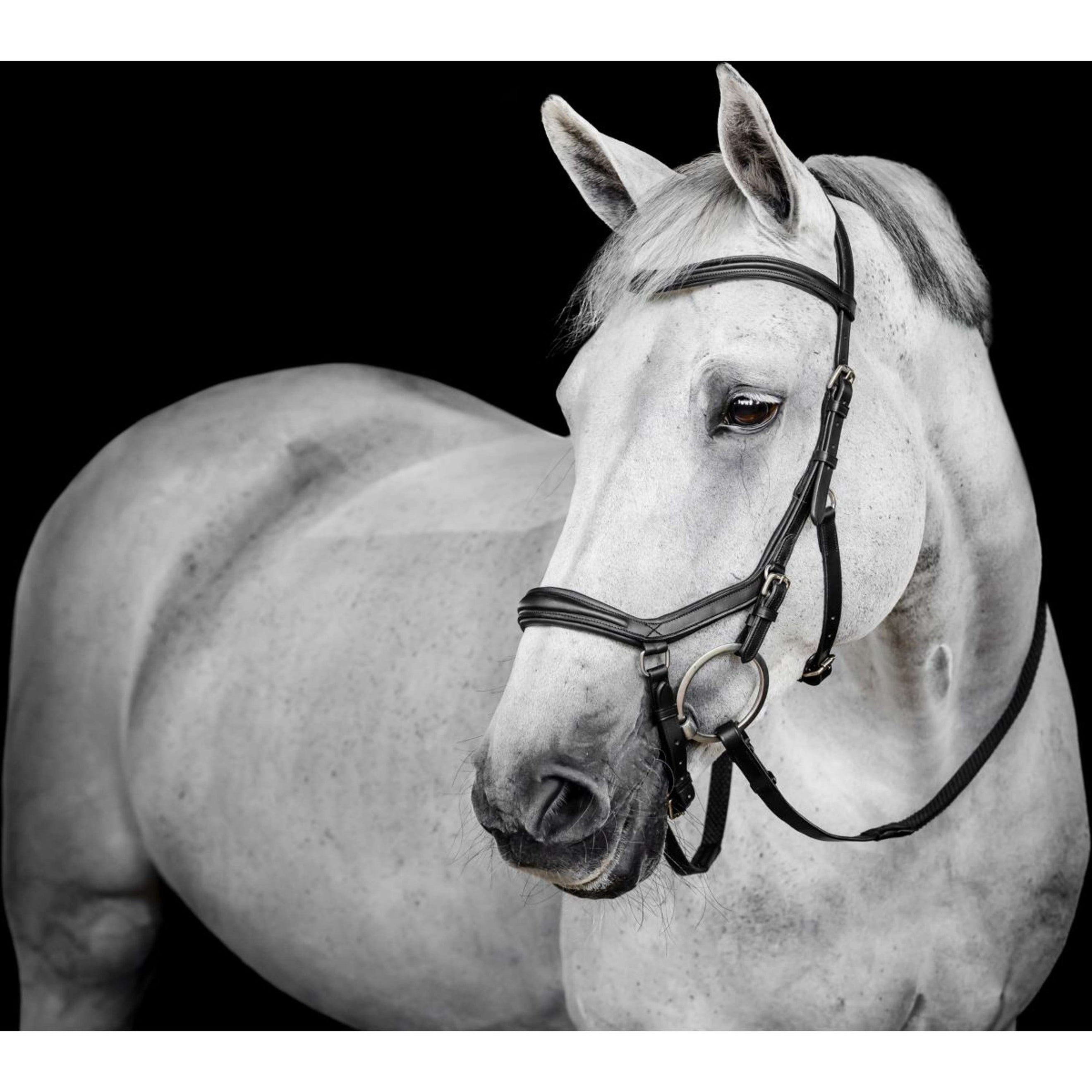 Horseware Micklem Deluxe Competition Bridle Negro Horseware Micklem Deluxe Competition Bridle Negro