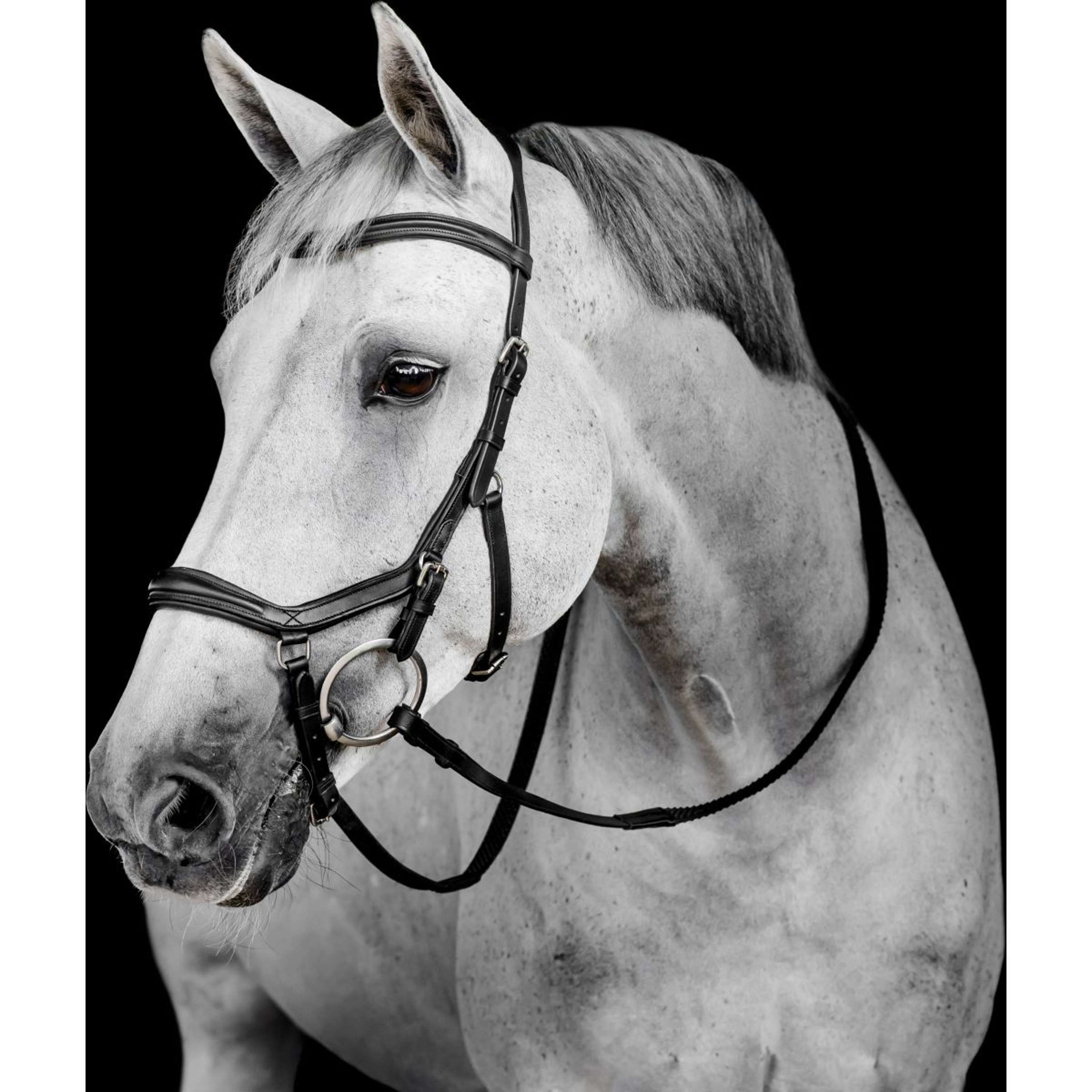 Horseware Micklem Deluxe Competition Bridle Negro Horseware Micklem Deluxe Competition Bridle Negro