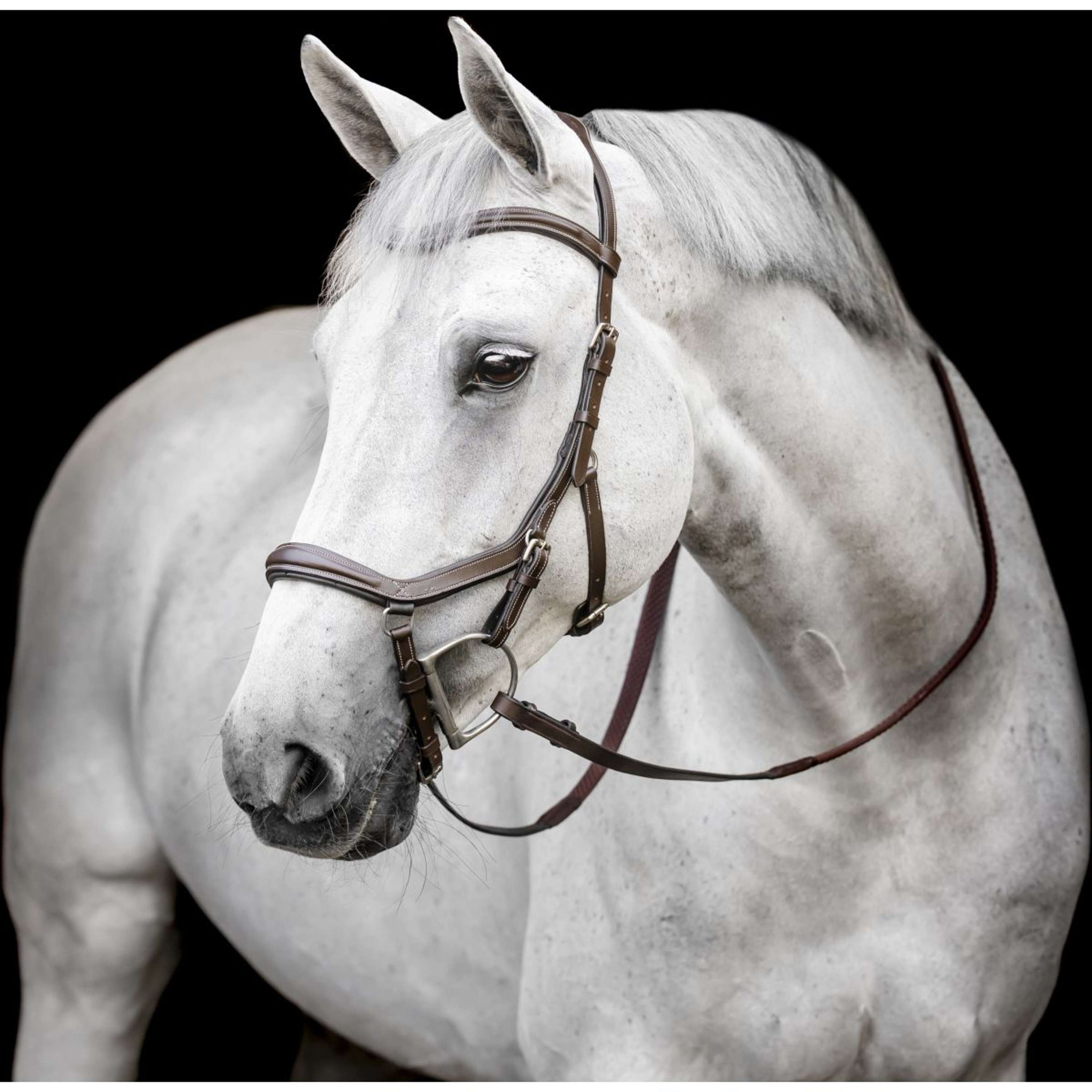 Horseware Micklem Deluxe Competition Bridle Dark Havana Horseware Micklem Deluxe Competition Bridle Dark Havana