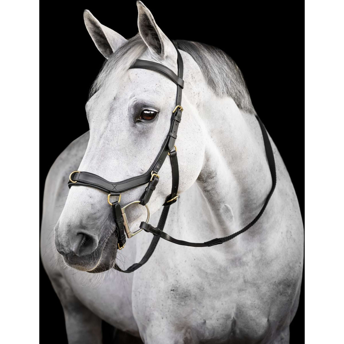 Horseware Micklem Multi Bridle Negro