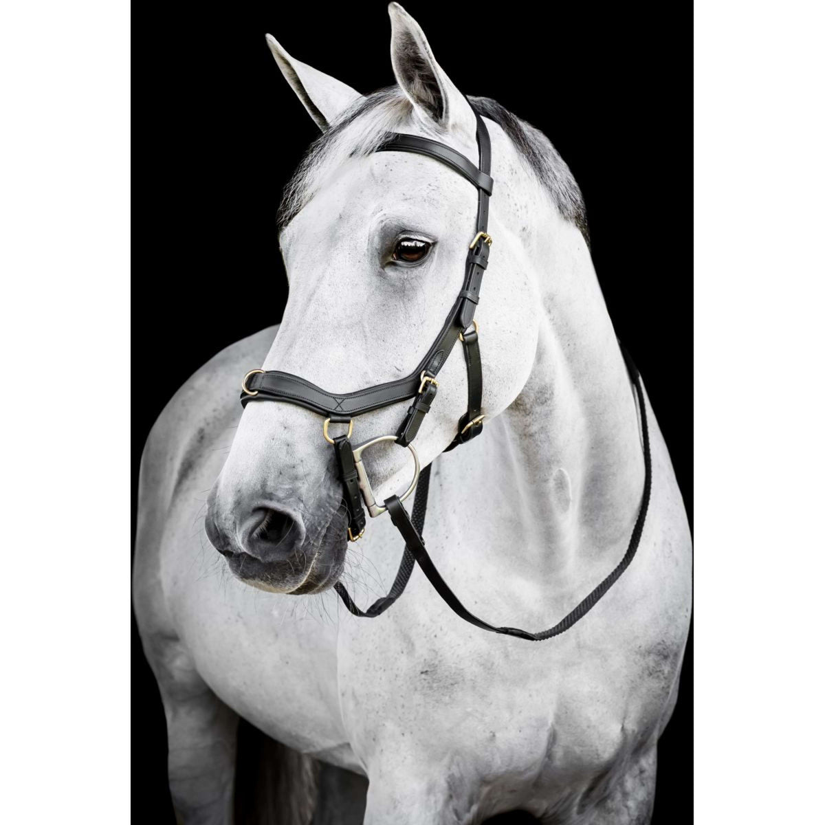 Horseware Micklem Multi Bridle Negro