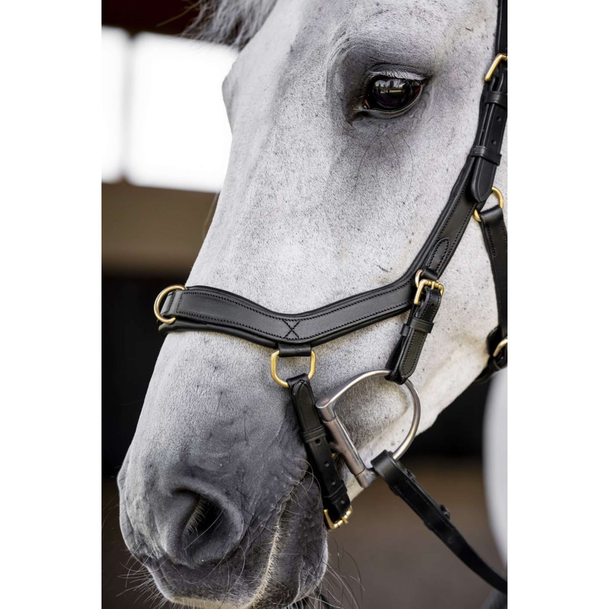 Horseware Micklem Multi Bridle Negro