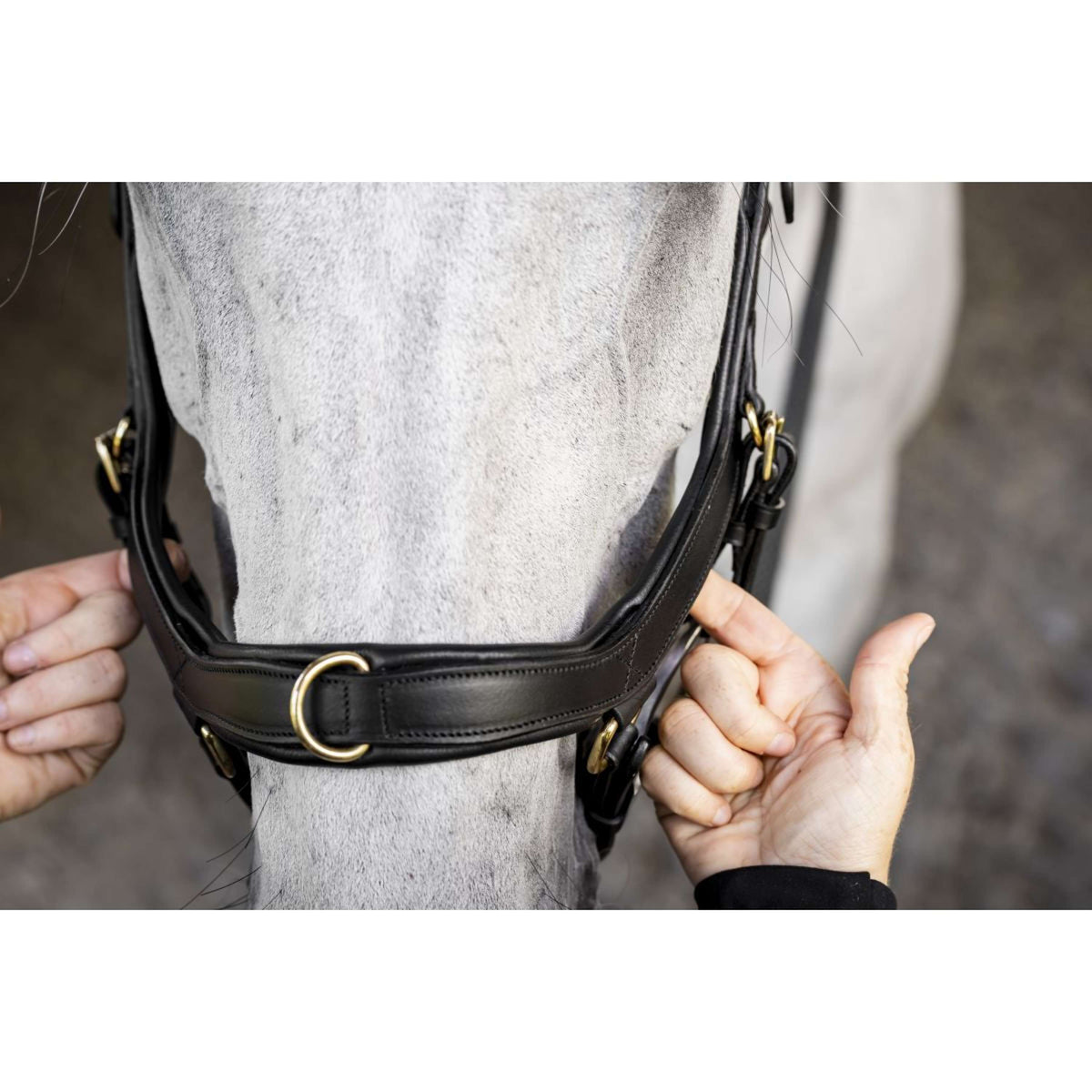 Horseware Micklem Multi Bridle Negro
