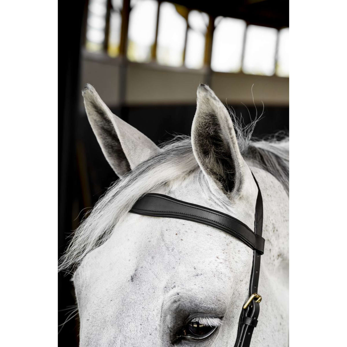 Horseware Micklem Multi Bridle Negro