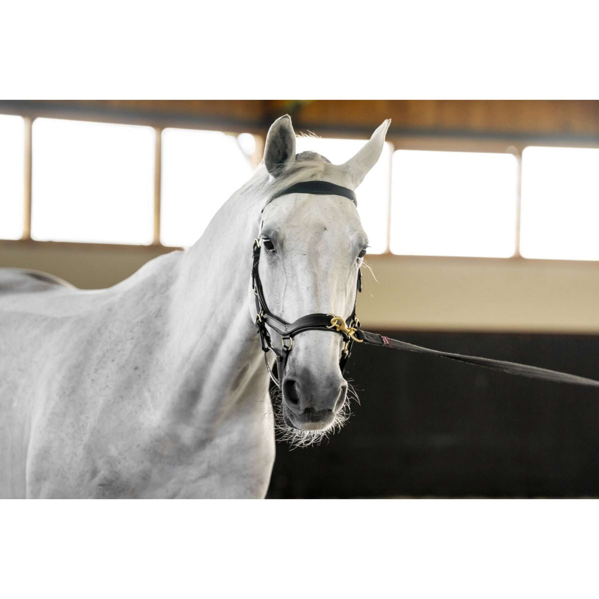 Horseware Micklem Multi Bridle Negro