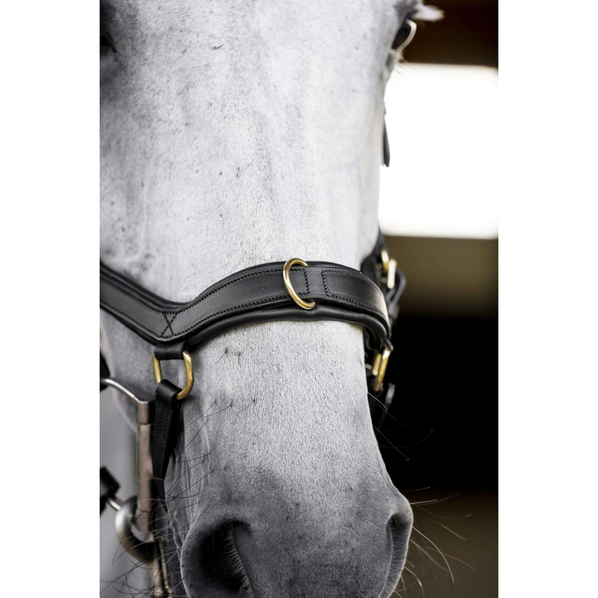 Horseware Micklem Multi Bridle Negro