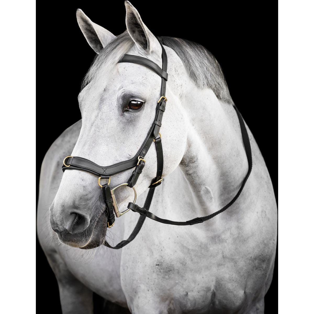 Horseware Micklem Multi Bridle Negro