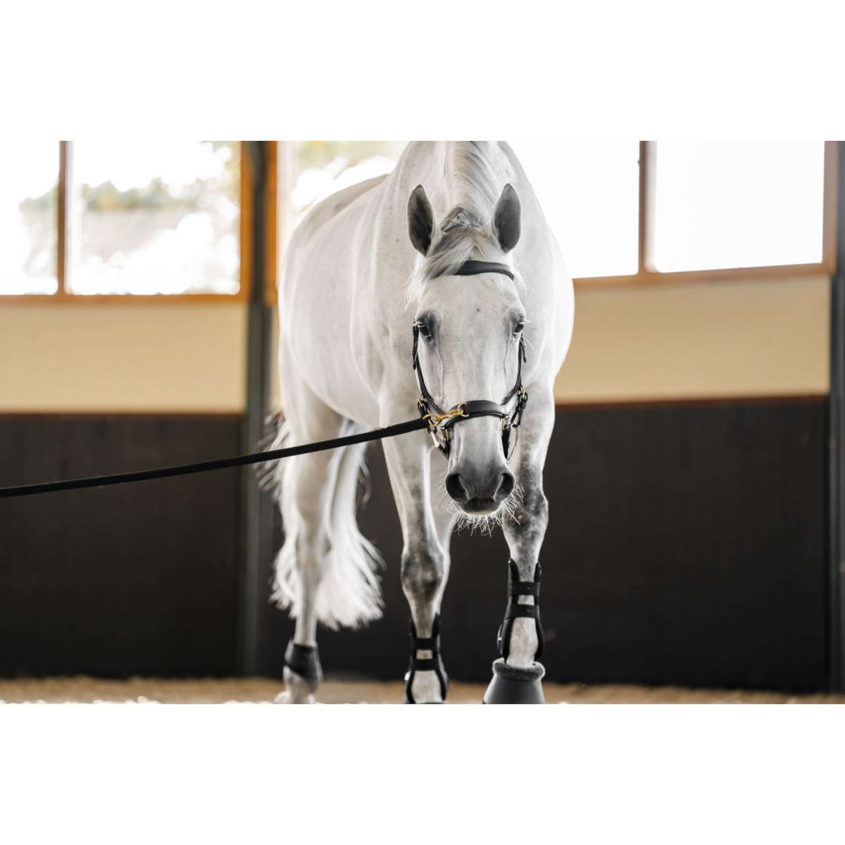 Horseware Micklem Multi Bridle Negro