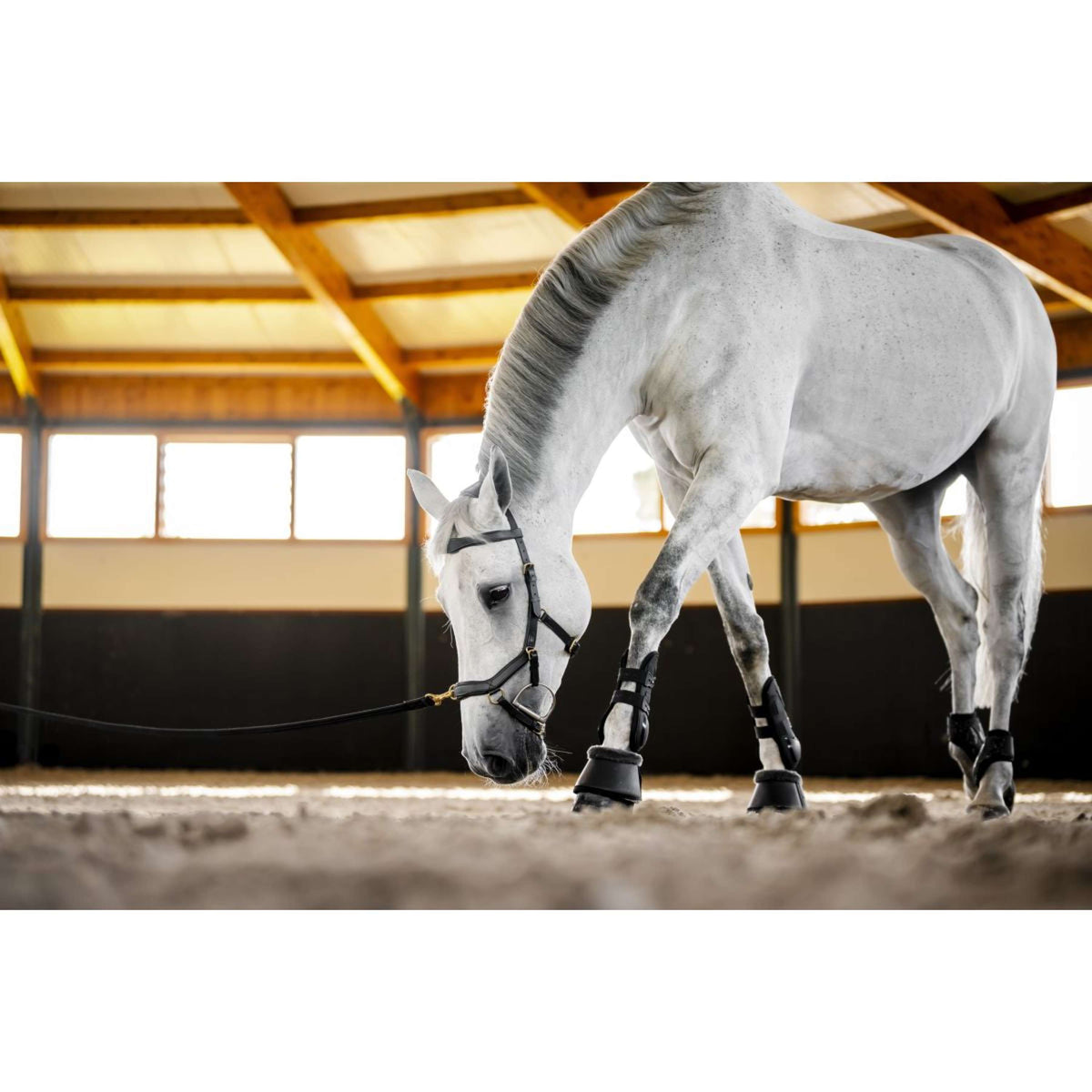 Horseware Micklem Multi Bridle Negro