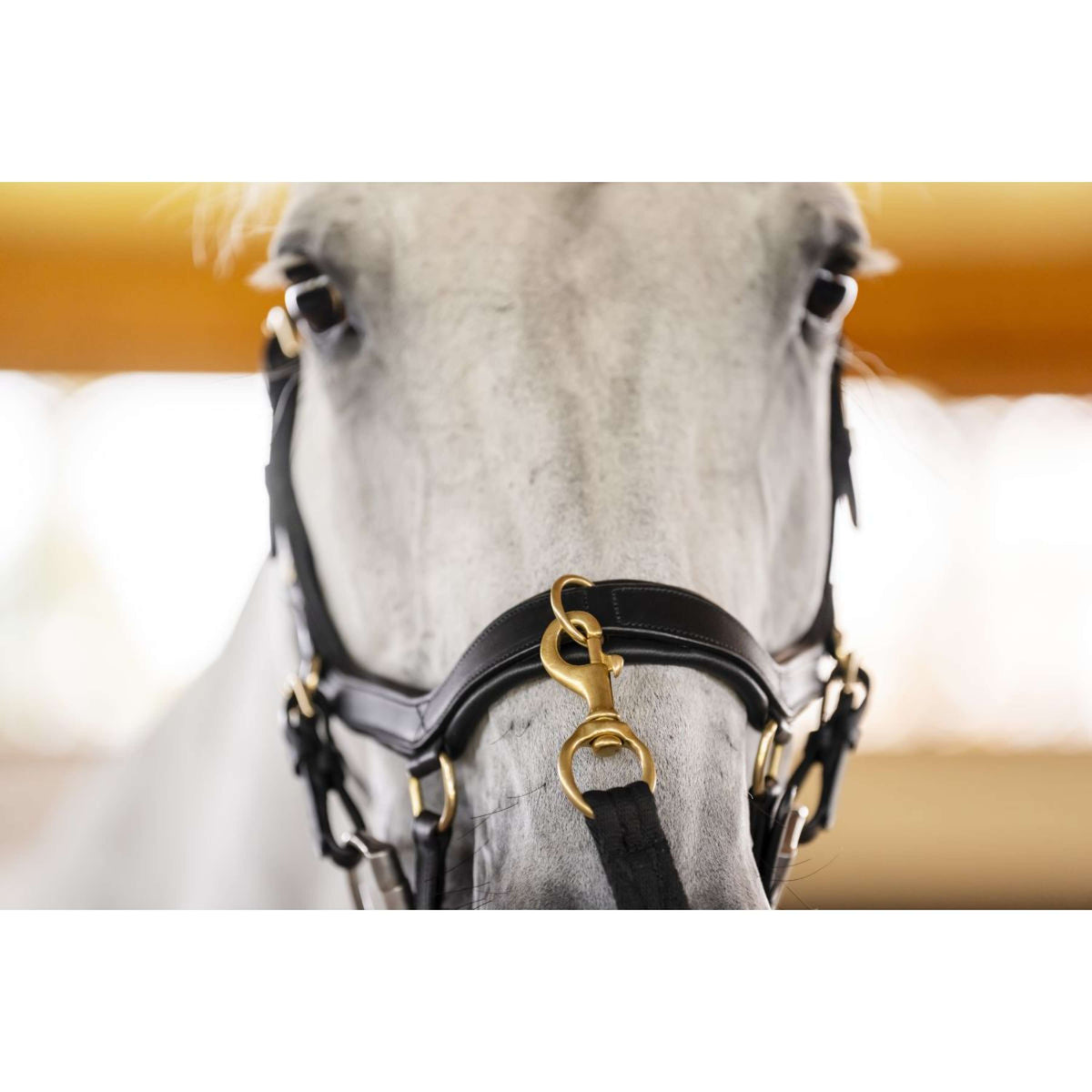 Horseware Micklem Multi Bridle Negro