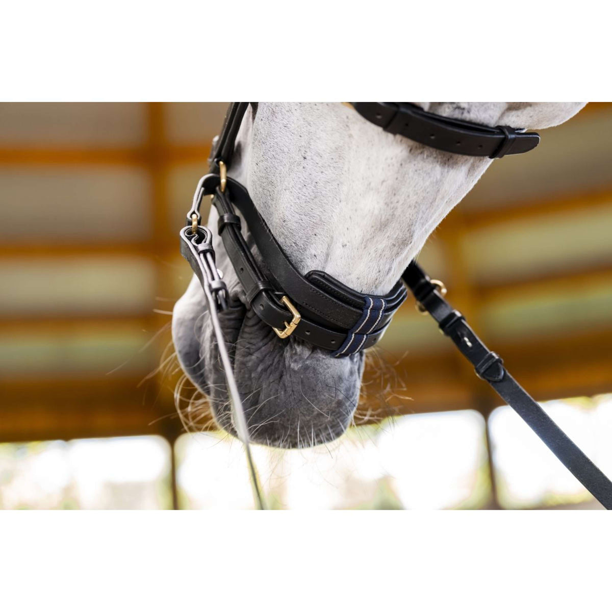 Horseware Micklem Multi Bridle Negro