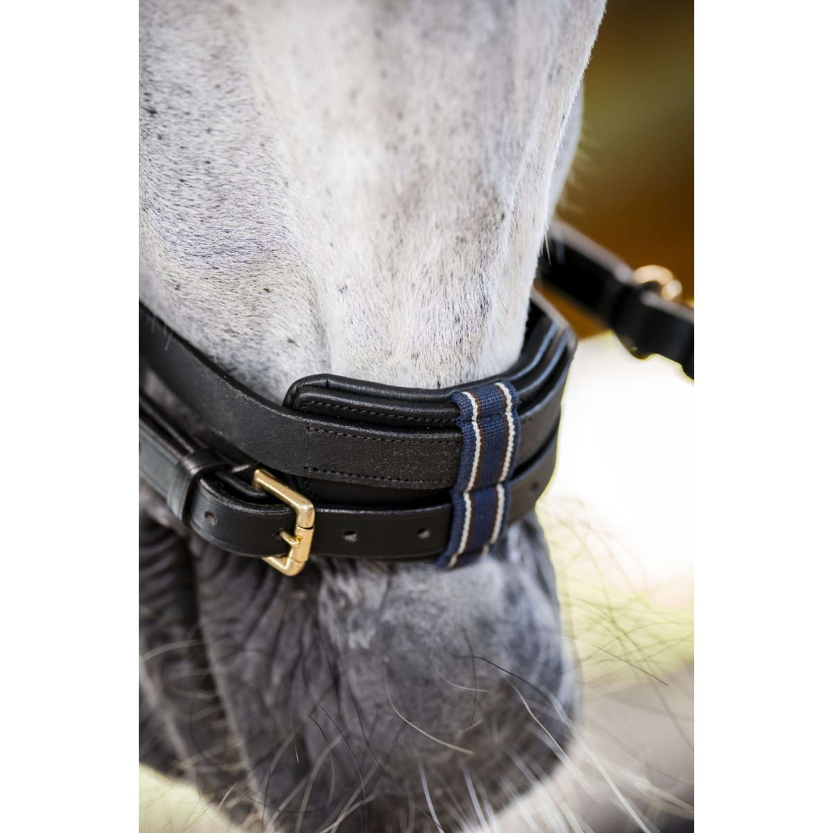 Horseware Micklem Multi Bridle Negro