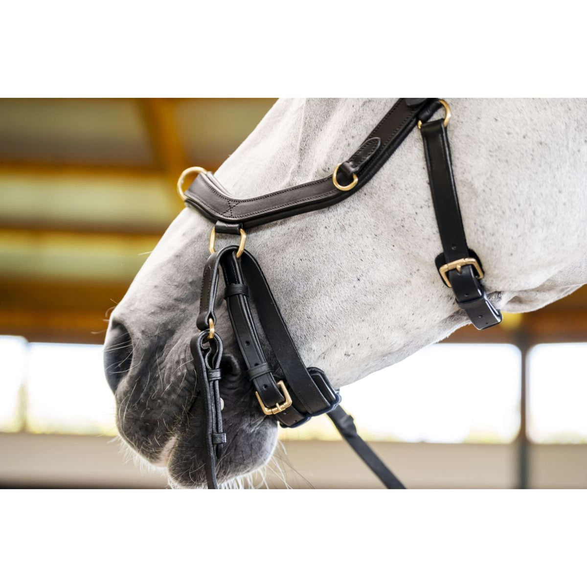 Horseware Micklem Multi Bridle Negro