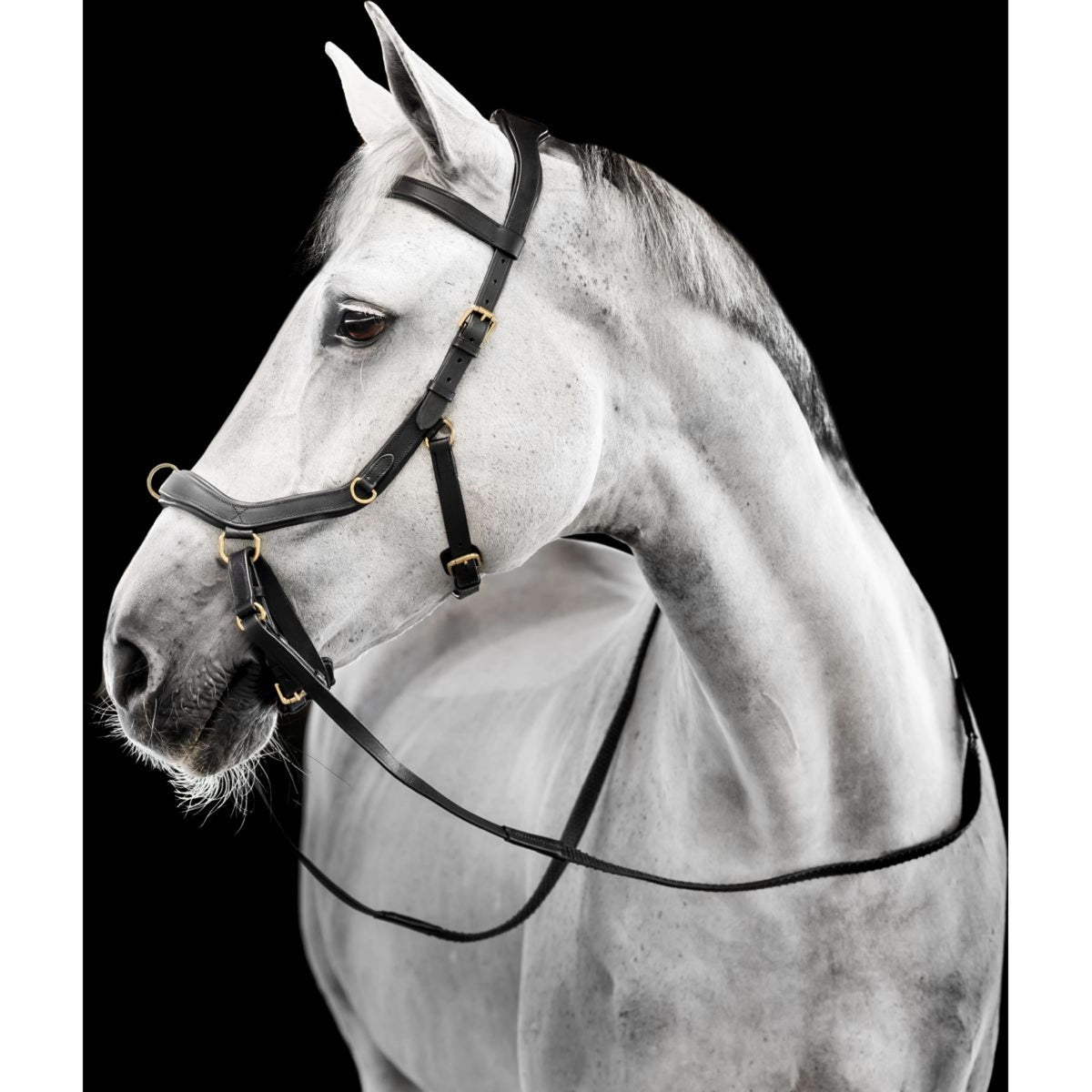 Horseware Micklem Multi Bridle Negro