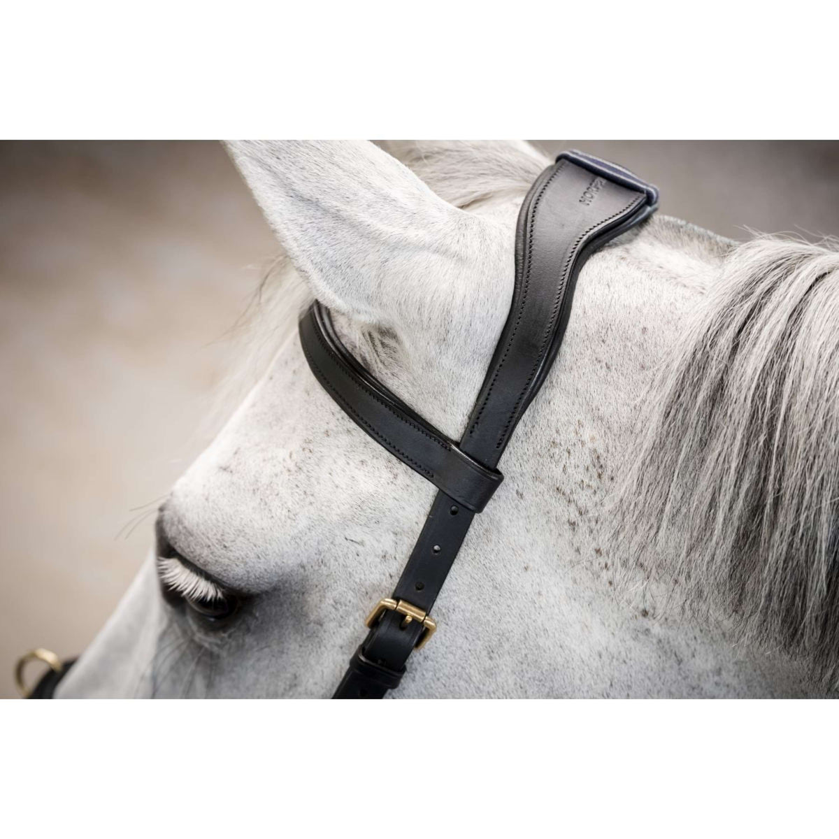 Horseware Micklem Multi Bridle Negro