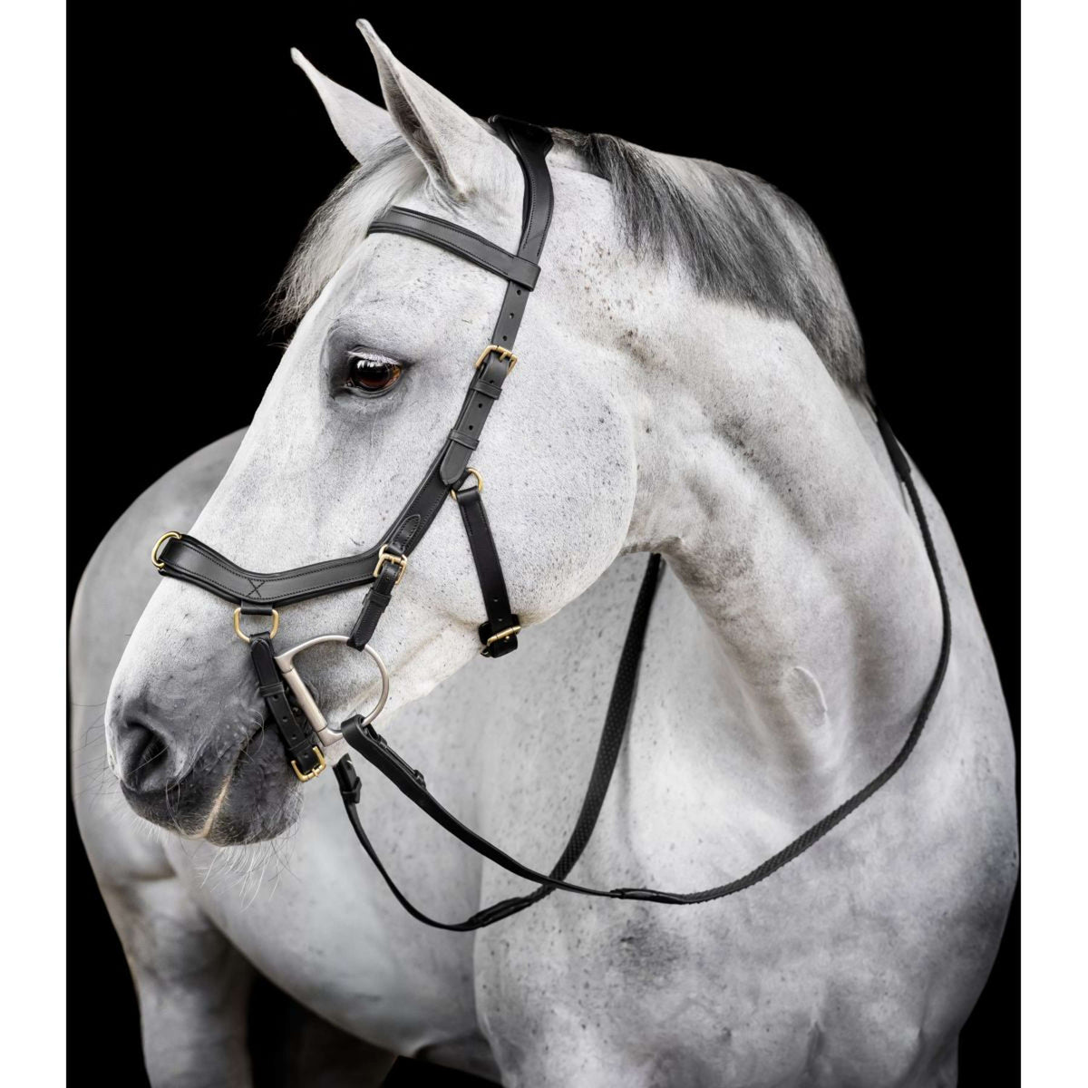Horseware Micklem Multi Bridle Negro