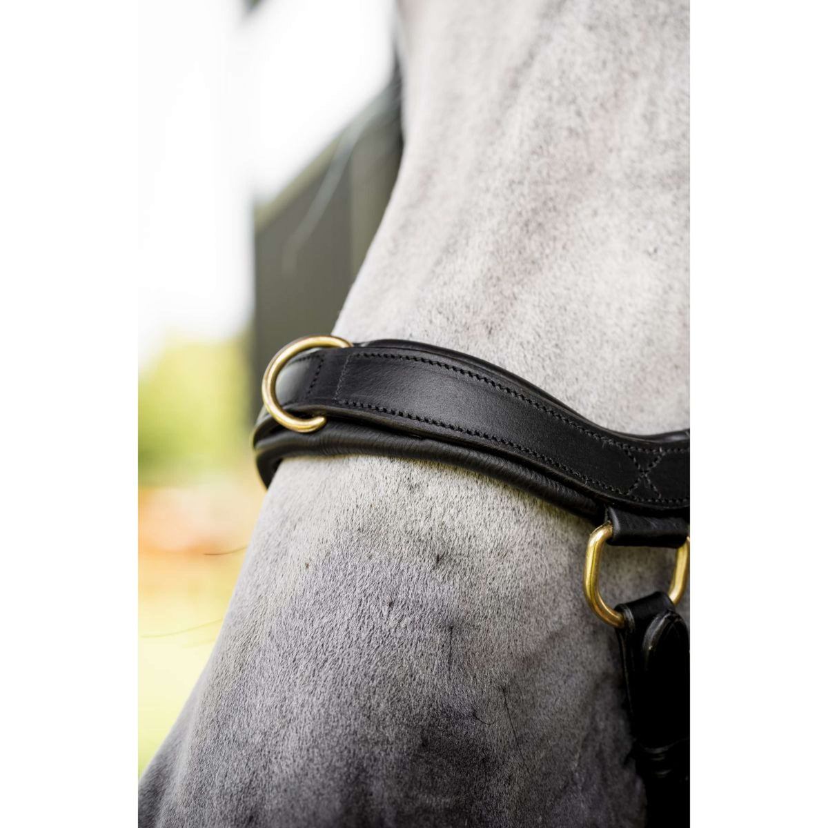 Horseware Micklem Multi Bridle Negro