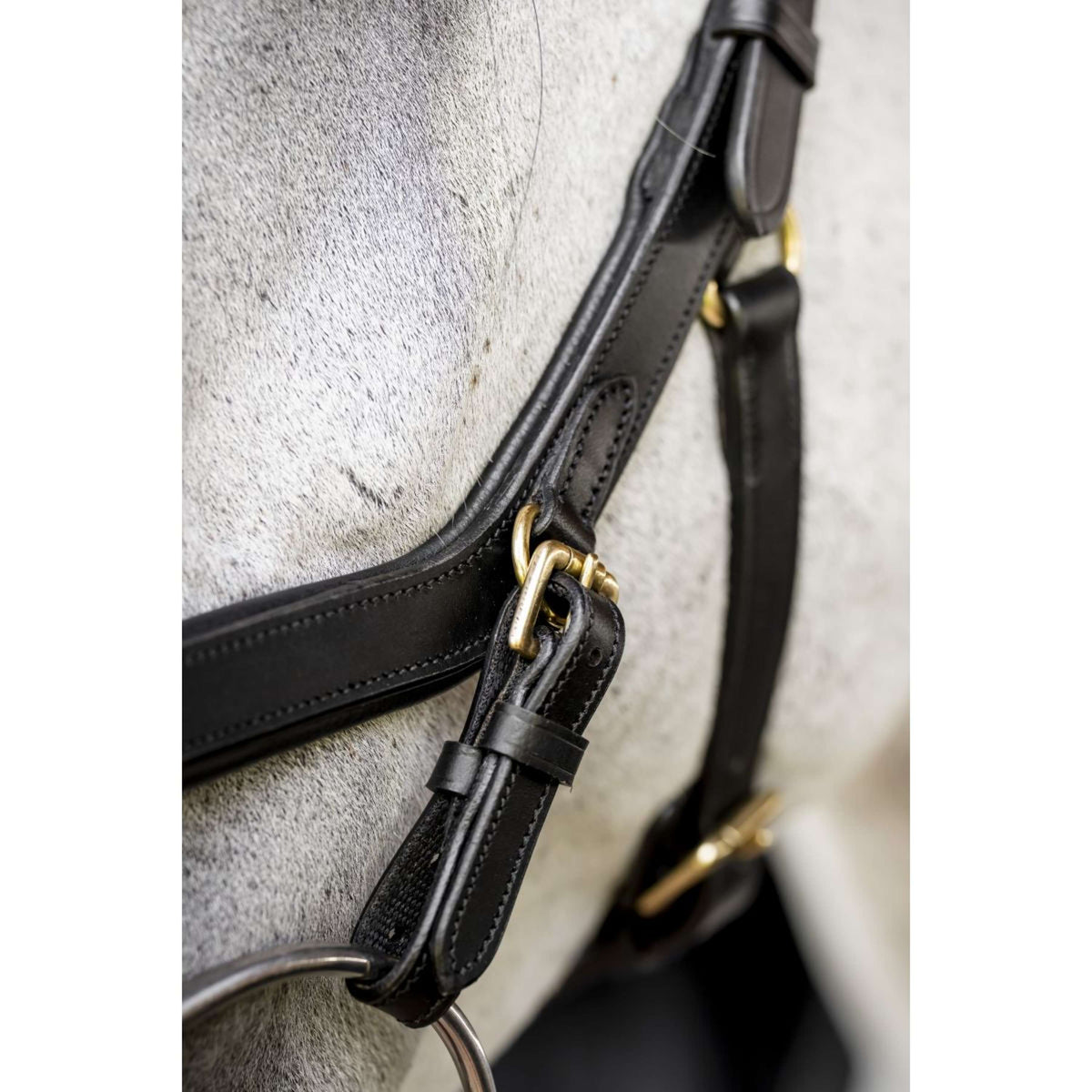 Horseware Micklem Multi Bridle Negro