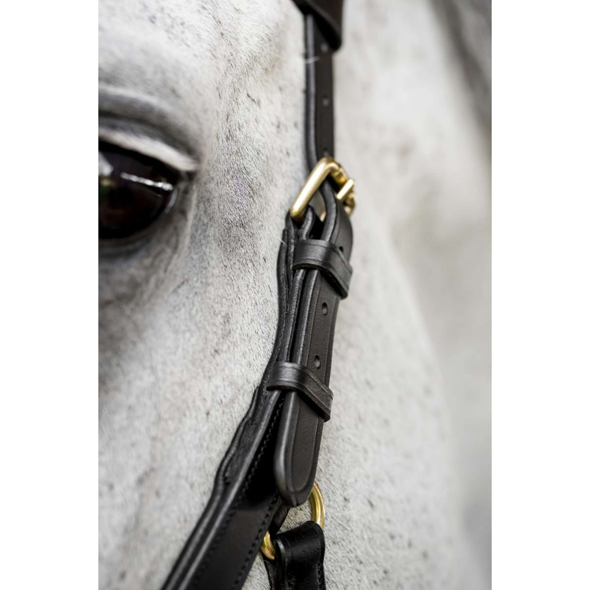Horseware Micklem Multi Bridle Negro