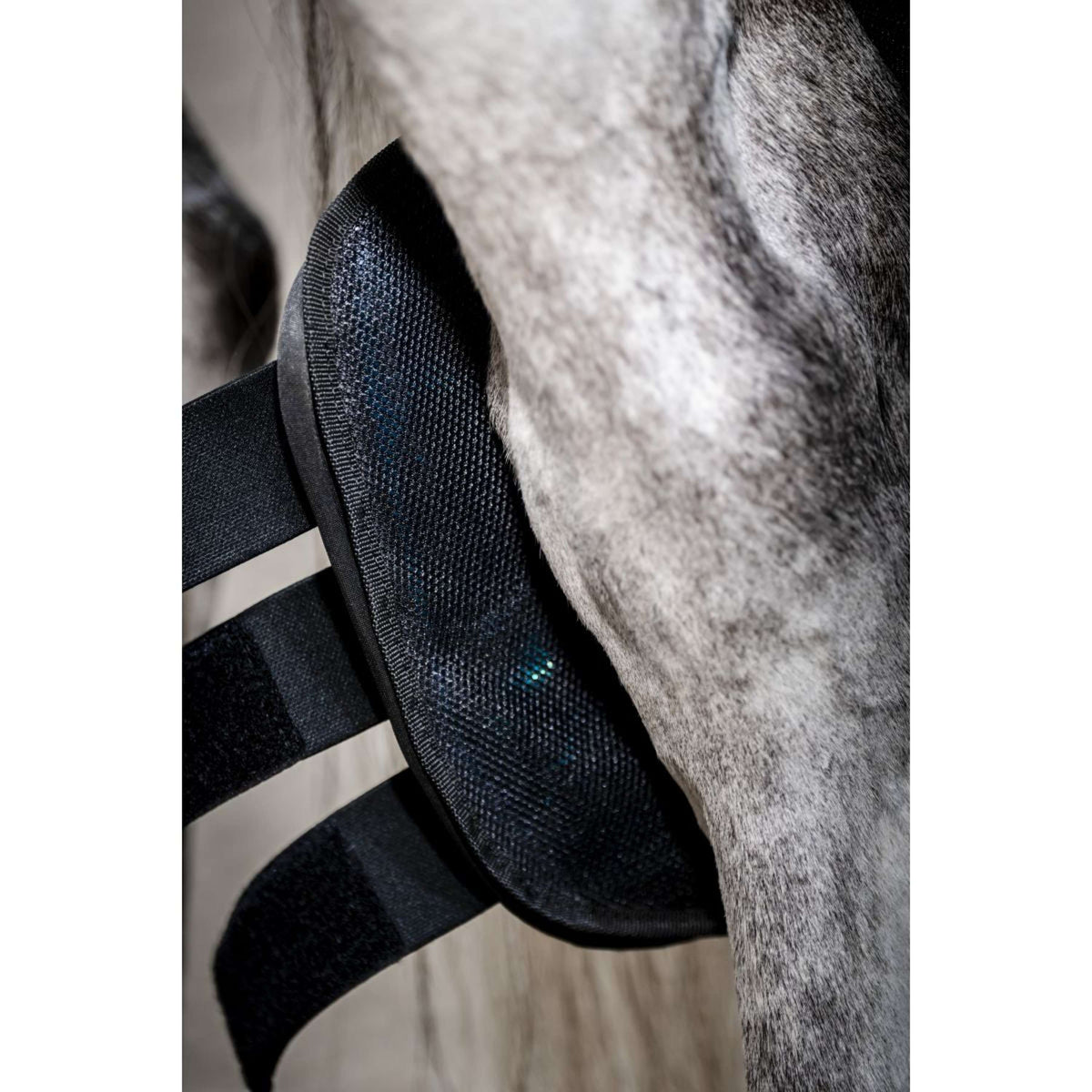Horseware Ice Gel Hock Boots Negro
