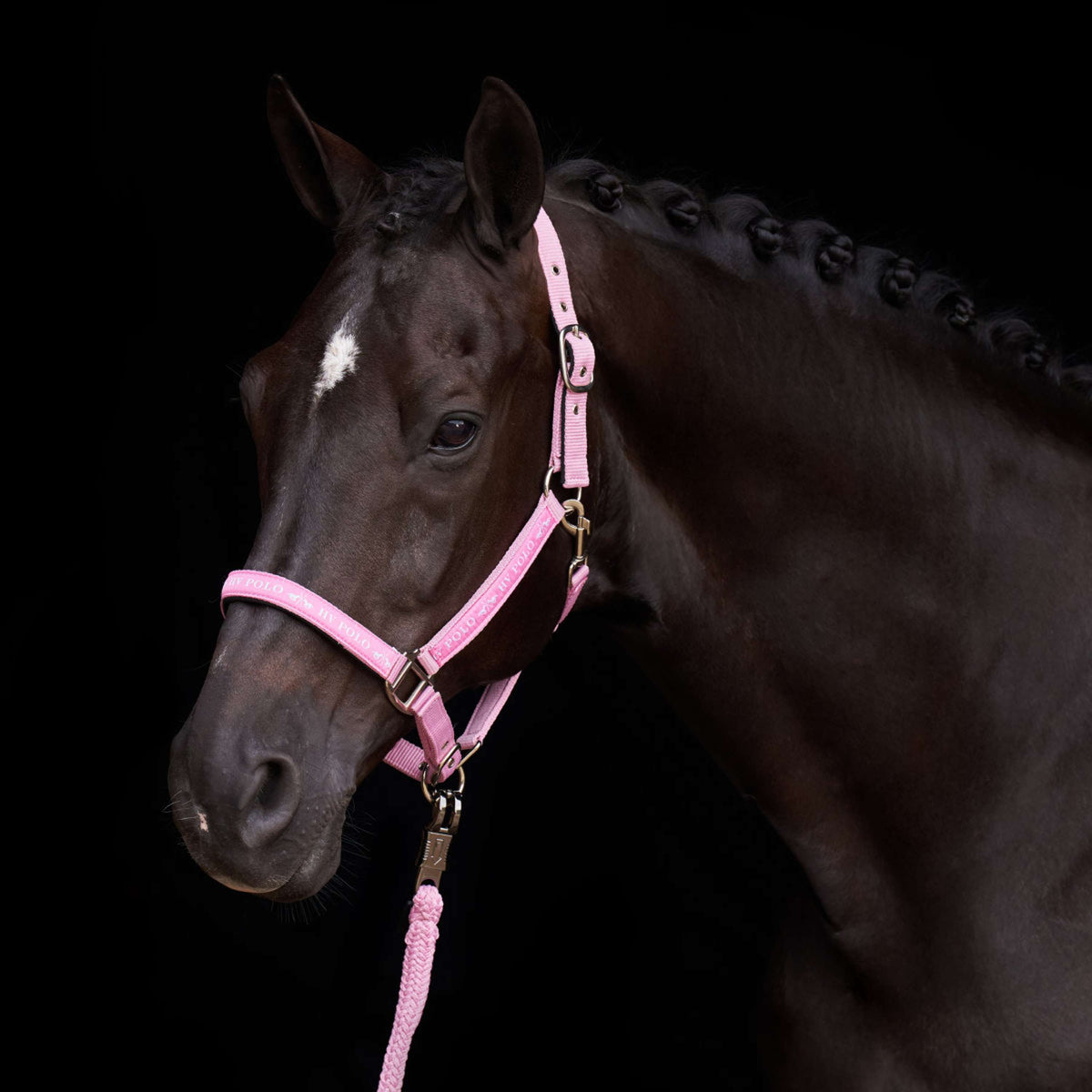 HV Polo Cabezada HVPNena Pretty Pink