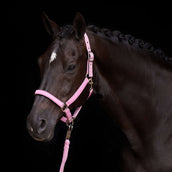 HV Polo Cabezada HVPNena Pretty Pink