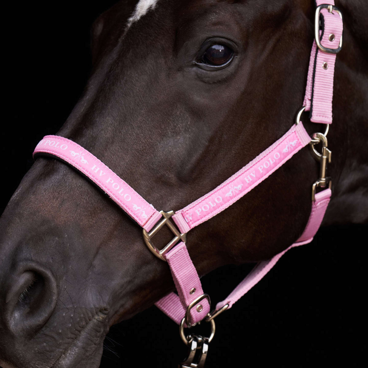 HV Polo Cabezada HVPNena Pretty Pink