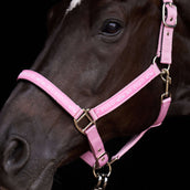HV Polo Cabezada HVPNena Pretty Pink