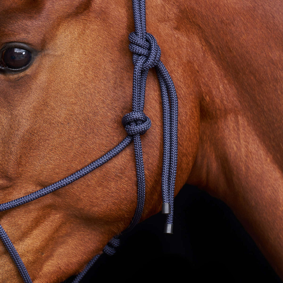 HV Polo Cabezada de Cuerda HVPLamu Navy