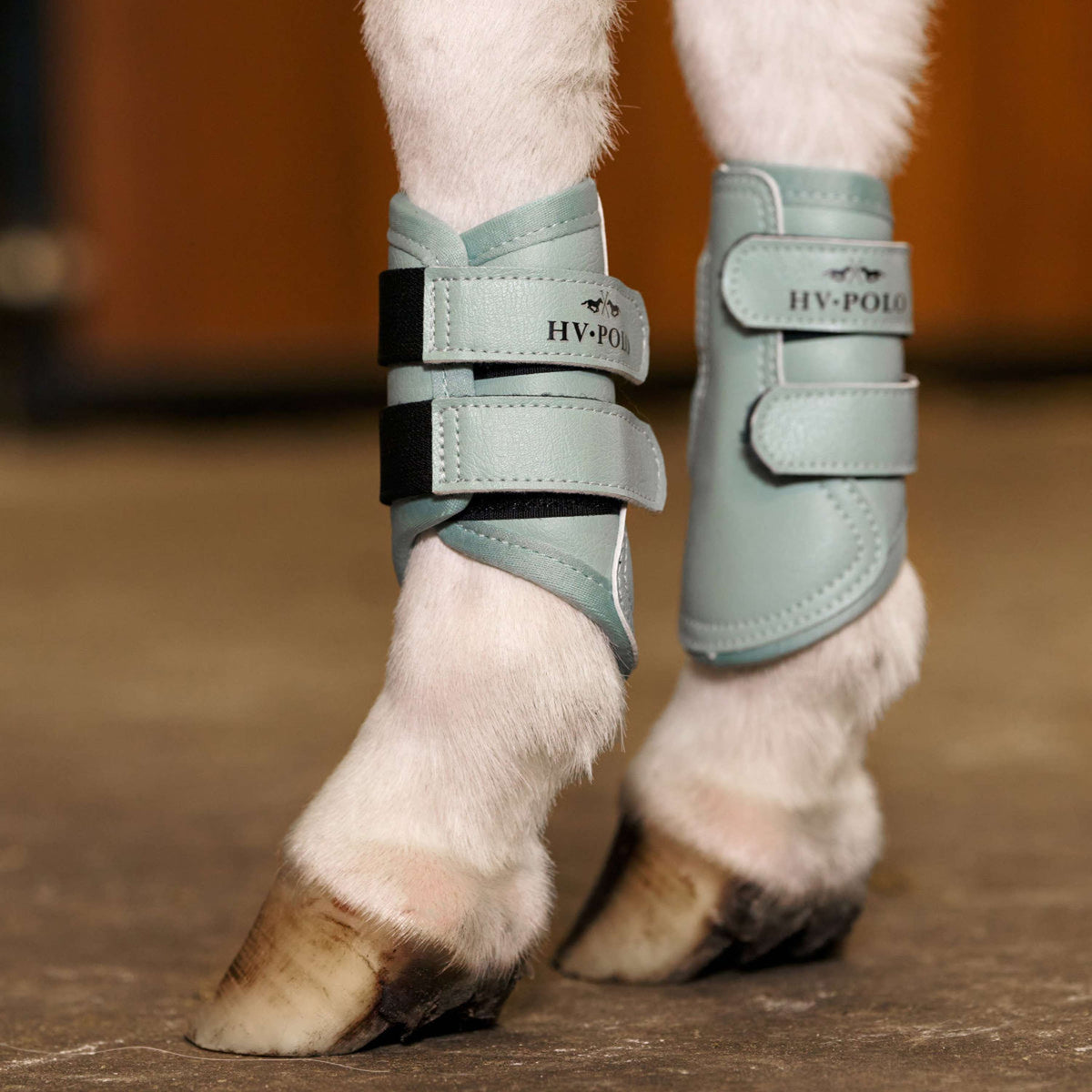 HV Polo Dressage Boots HVPSacha Aqua Sky