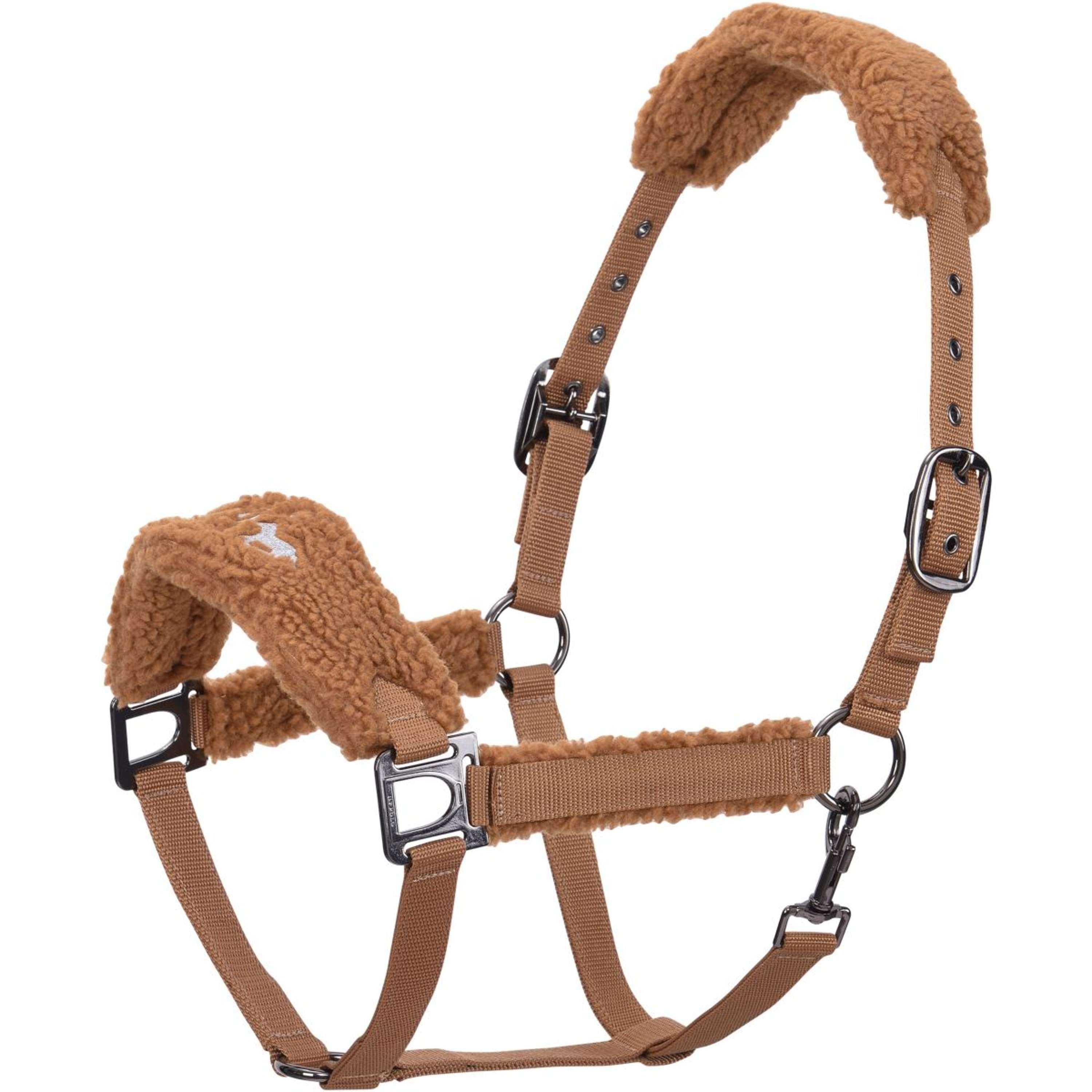 HV Polo Cabestro HVPTeddy Camel