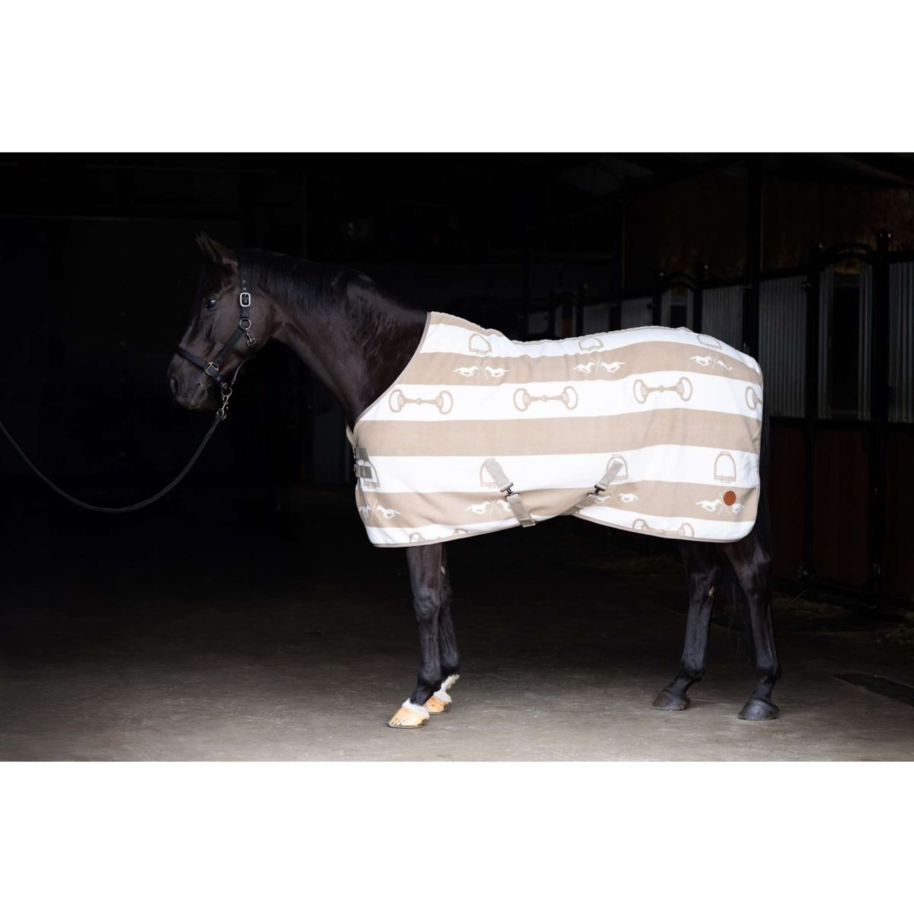 HV Polo Manta de Forro Polar HVPGwenny Chalk