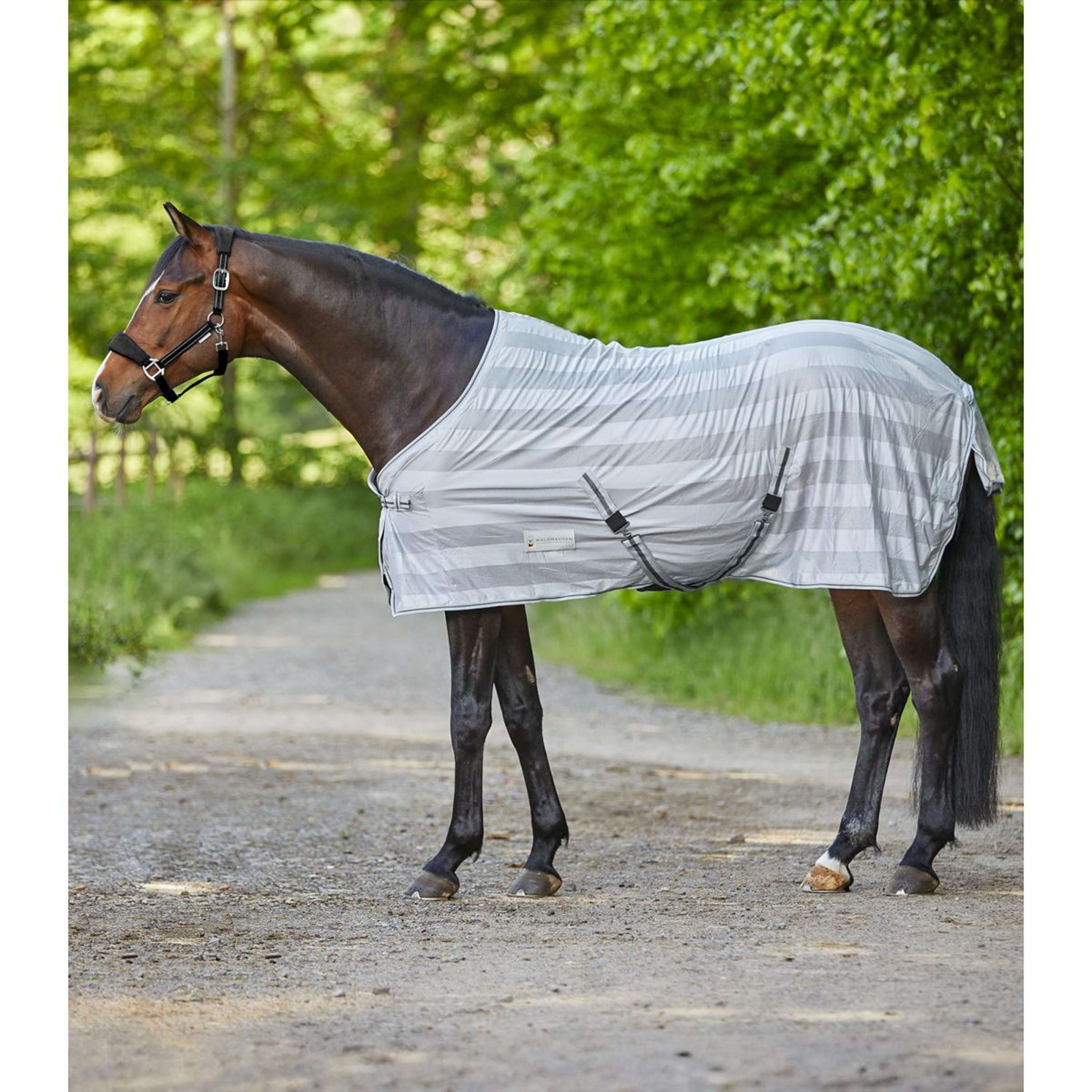 Waldhausen Manta Antimoscas Economic Gris Plata Waldhausen Manta Antimoscas Economic Gris Plata