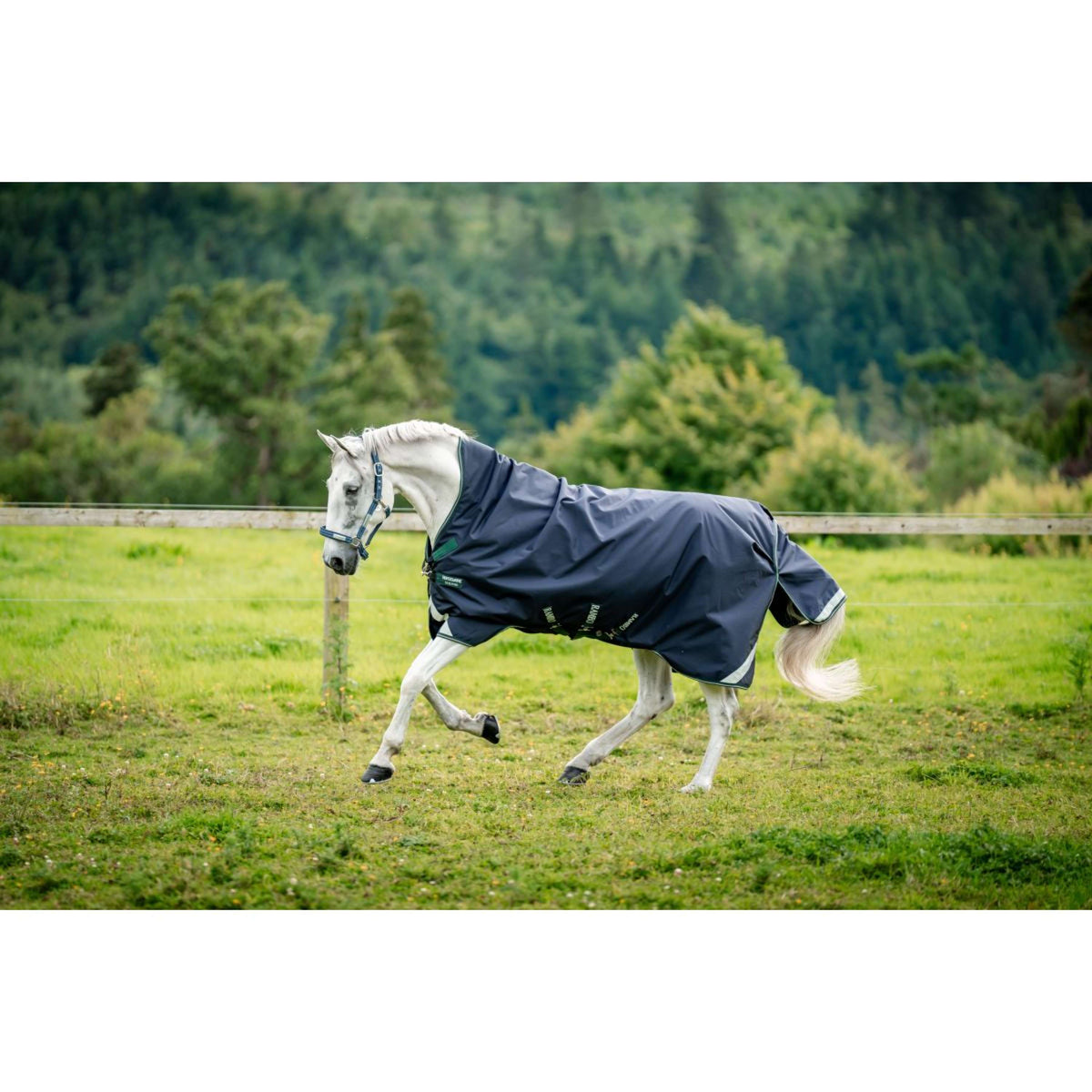 Rambo Wug Turnout Med 200g Navy/Hunter Green