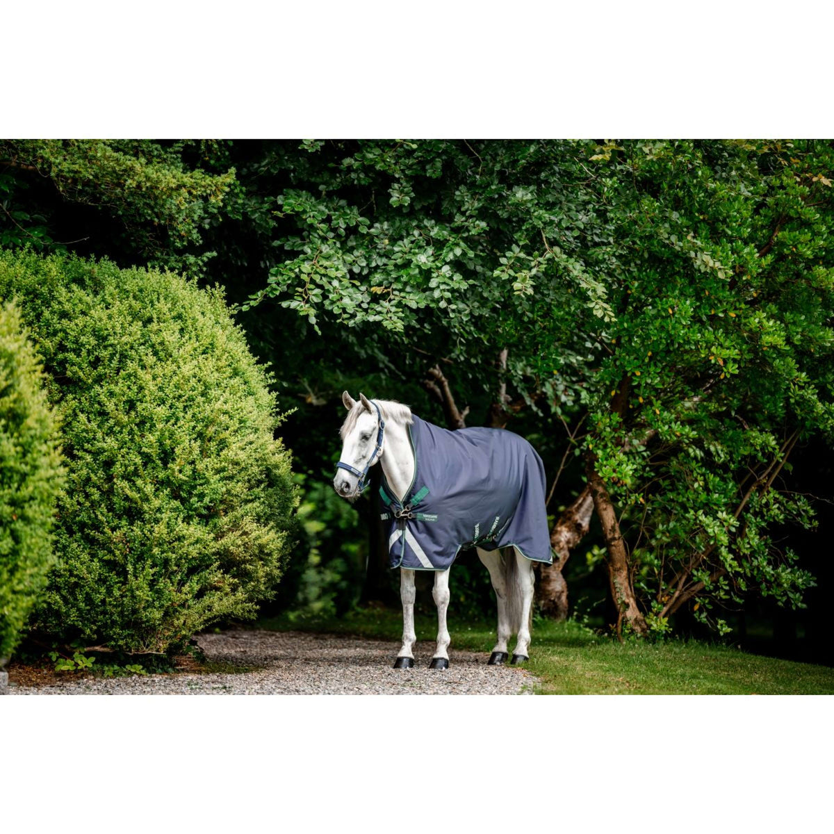 Rambo Wug Turnout Med 200g Navy/Hunter Green