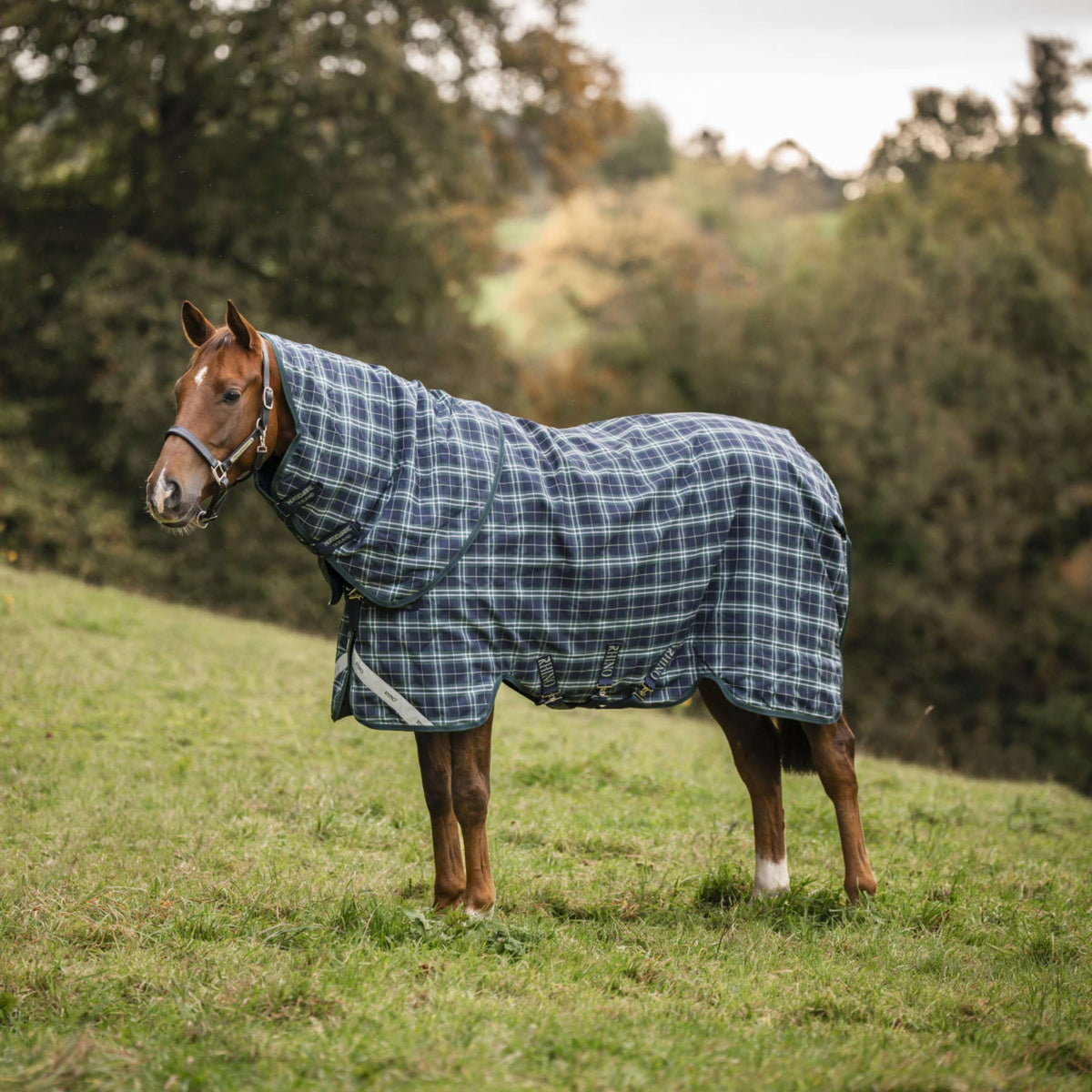 Rhino Cubrecuellos Turnout 0g Hunter Check/Green/Navy