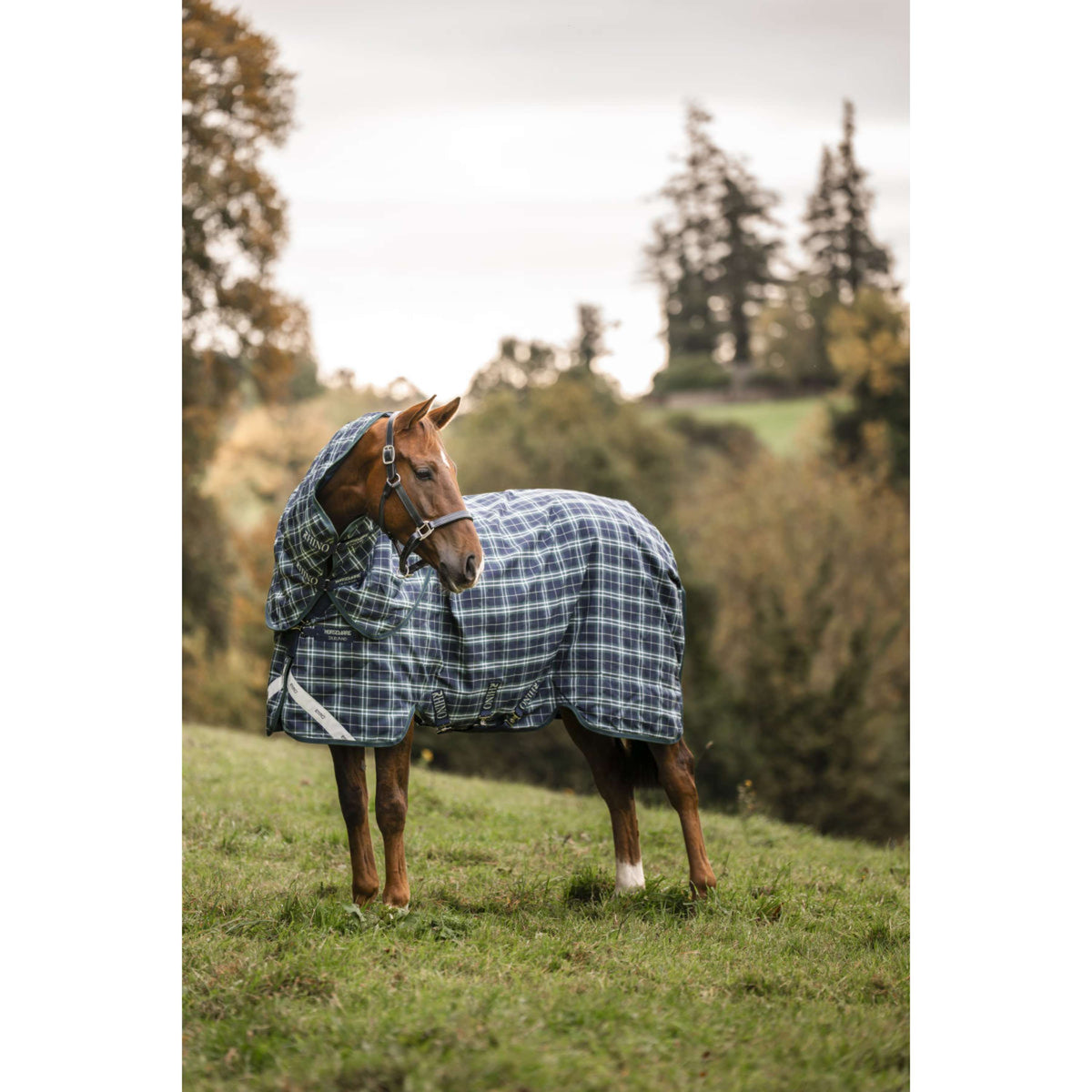 Rhino Cubrecuellos Turnout 0g Hunter Check/Green/Navy