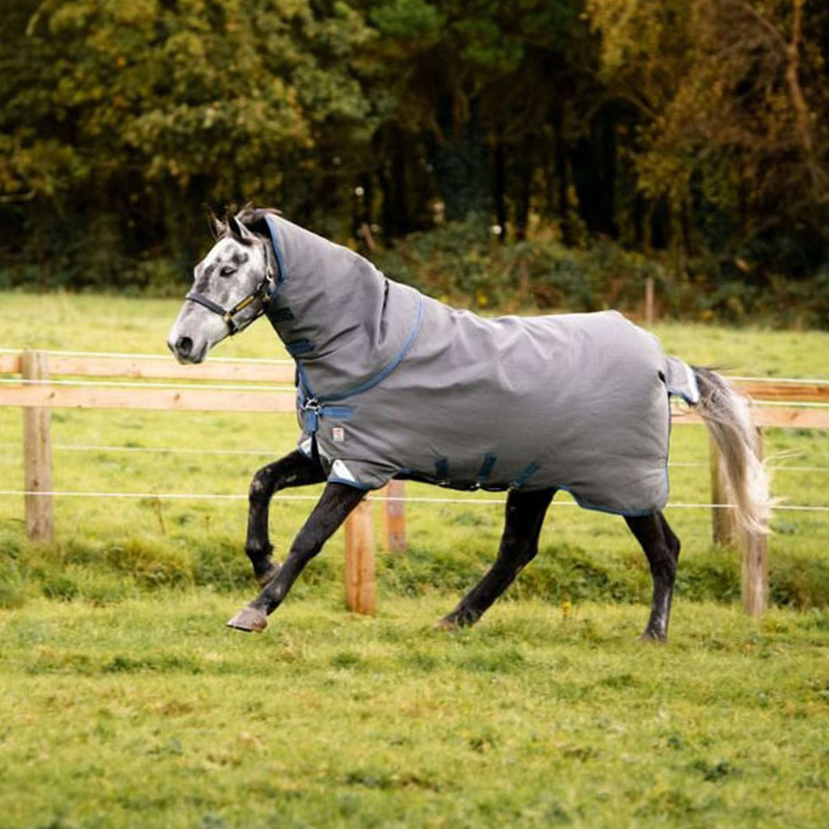 Rhino HexStop Plus Varilayer Gris/Indigo