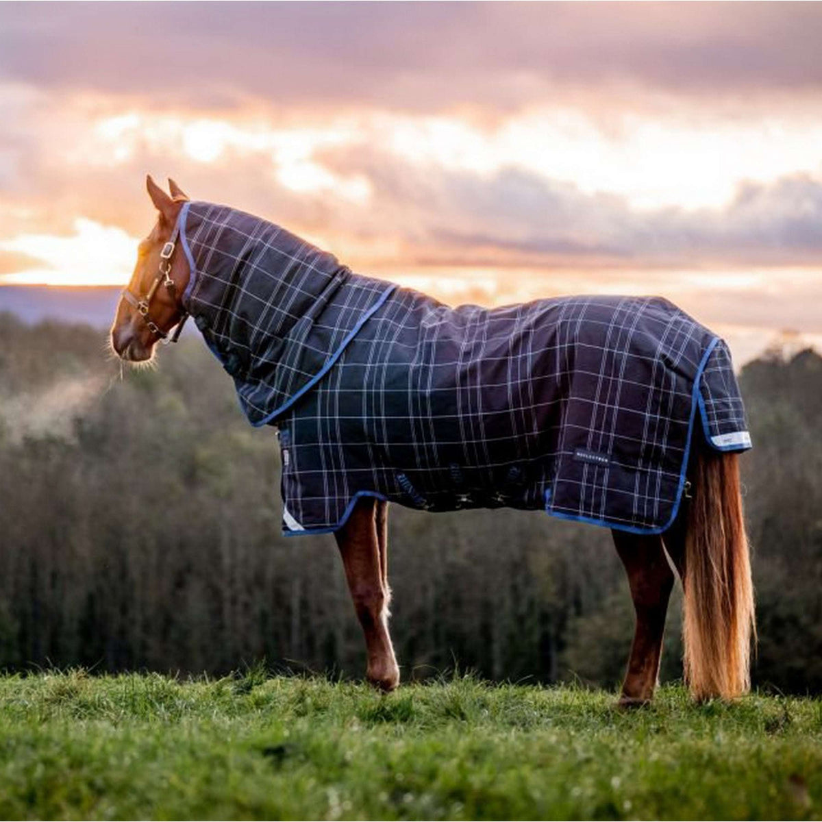 Rhino by Horseware Reflectech Plus Varilayer Navy/Reflective Check