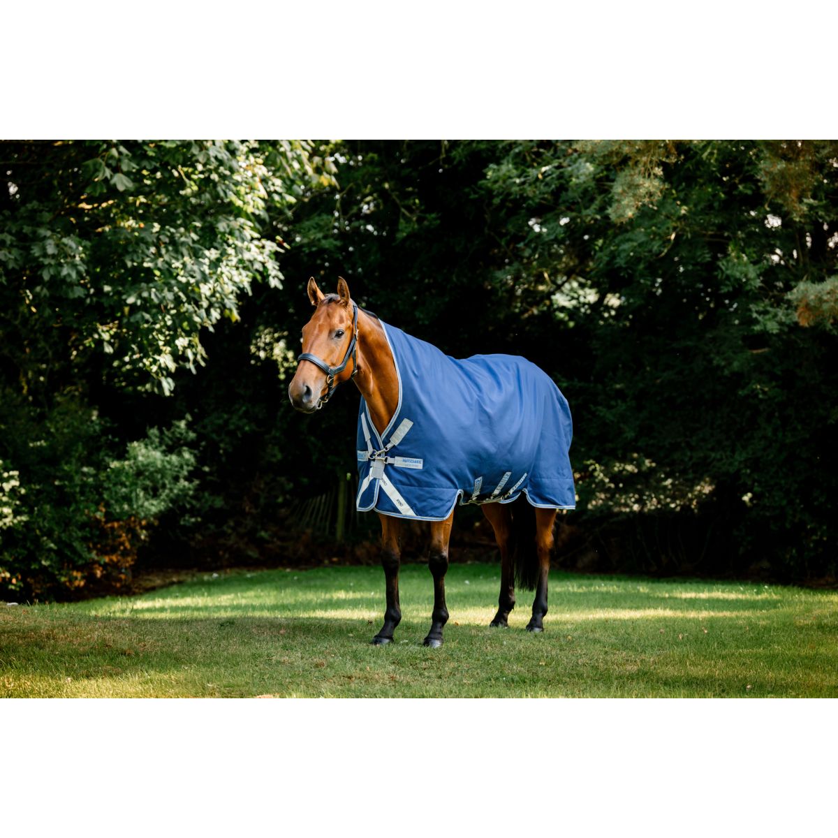 Rhino by Horseware Wug Turnout Medium Varilayer 250g Navy/Titanium Grey